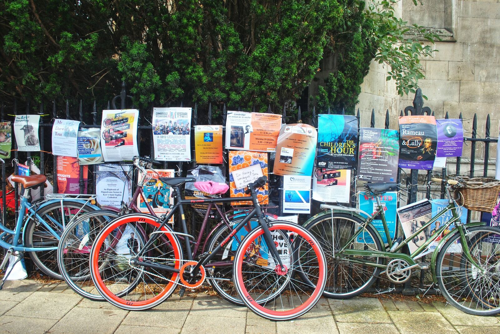 Nikon D3000 sample photo. Cycling, bike, cycle photography