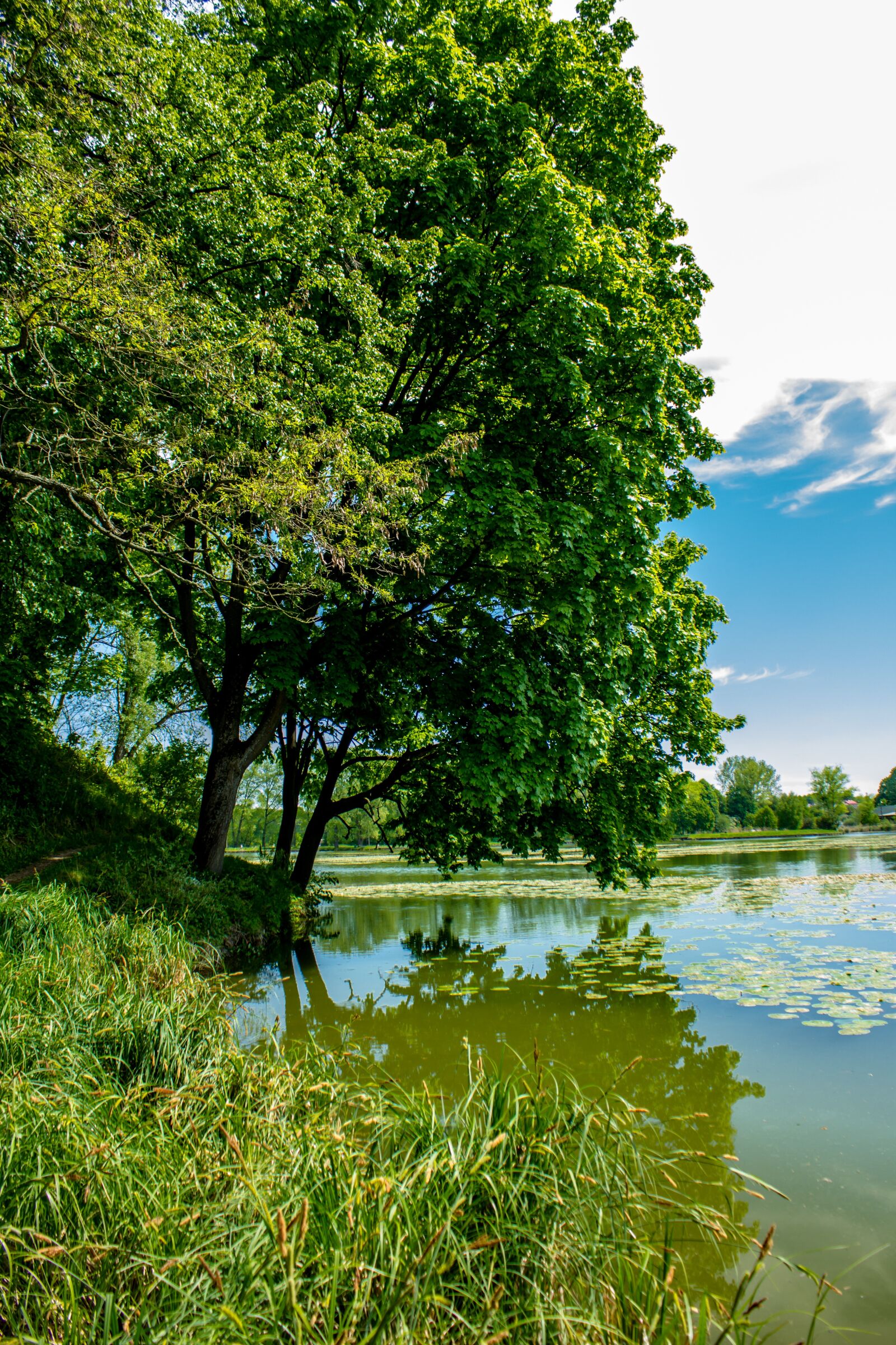 Canon EOS 60D sample photo. Bychawa, lagoon, water photography