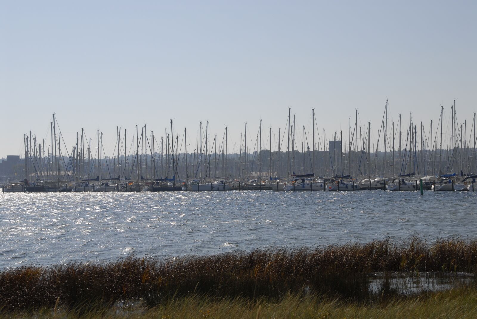 Nikon D200 sample photo. Sailing boats, port, sail photography