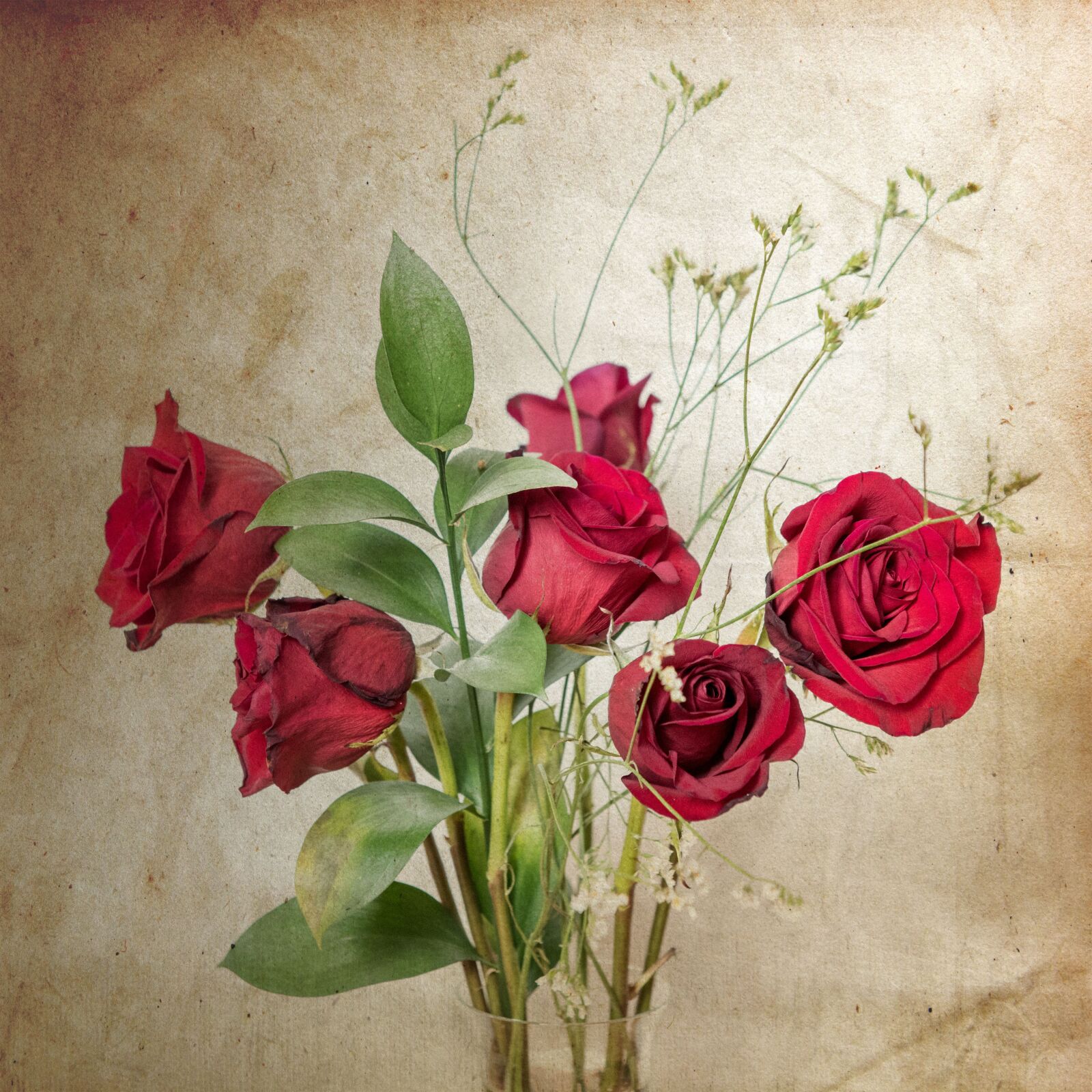 Nikon D810 sample photo. Roses, red roses, vintage photography