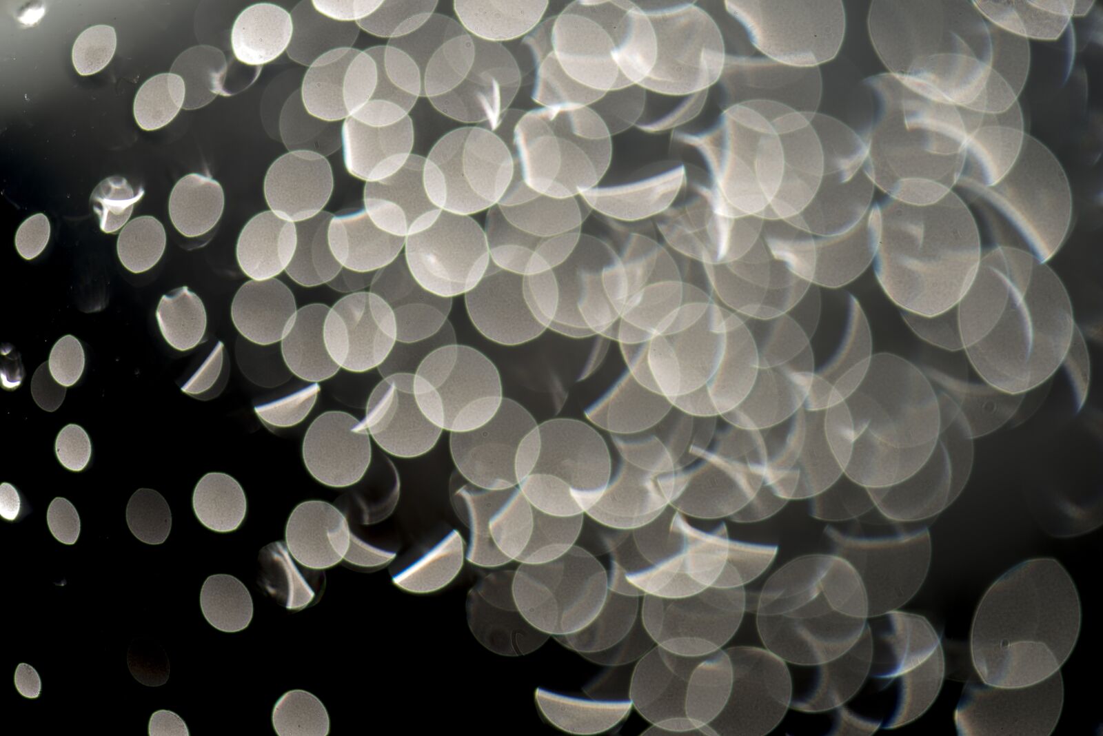 Nikon D800 sample photo. Abstraction, drops of rain photography