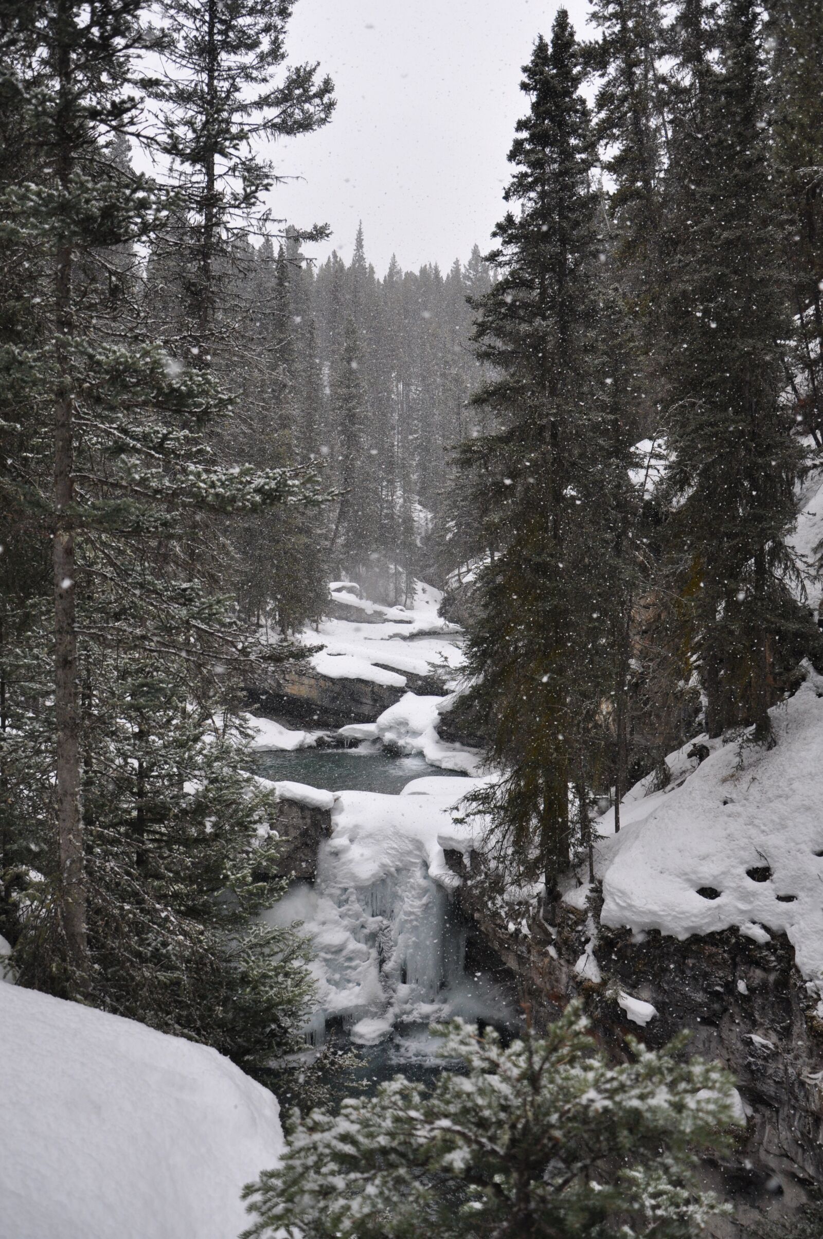 Nikon D90 sample photo. Winter, snow, forest photography