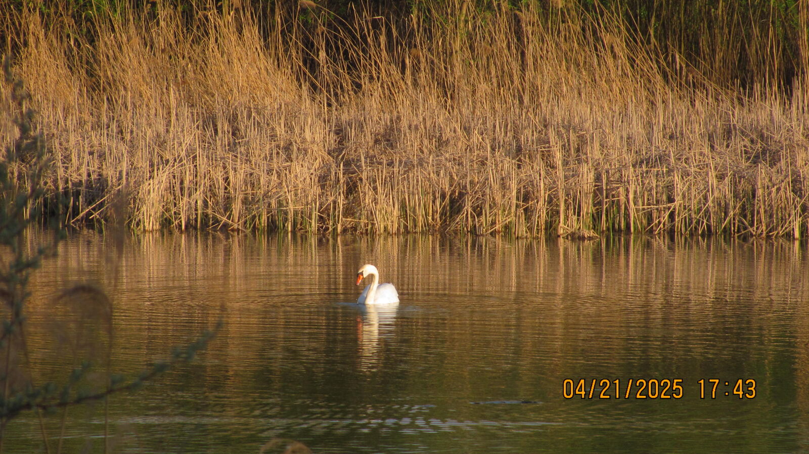Canon PowerShot SX120 IS sample photo
