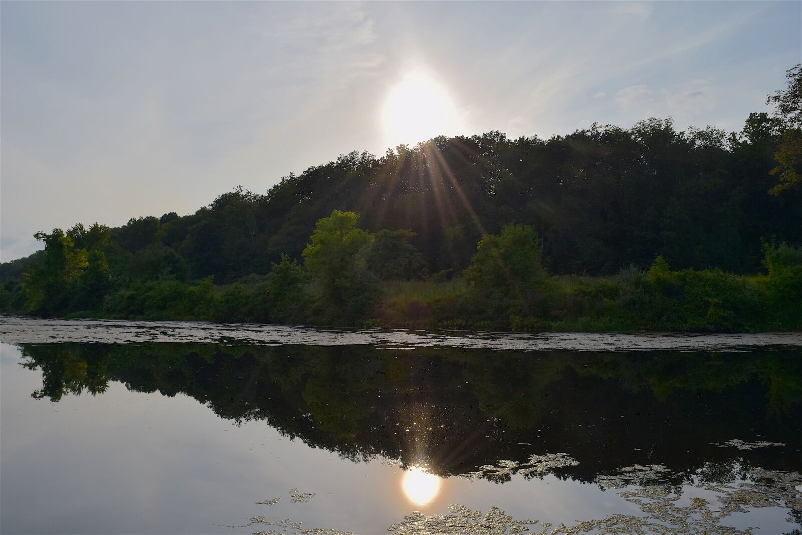 Nikon D3300 sample photo. Sunset, lake, trees photography