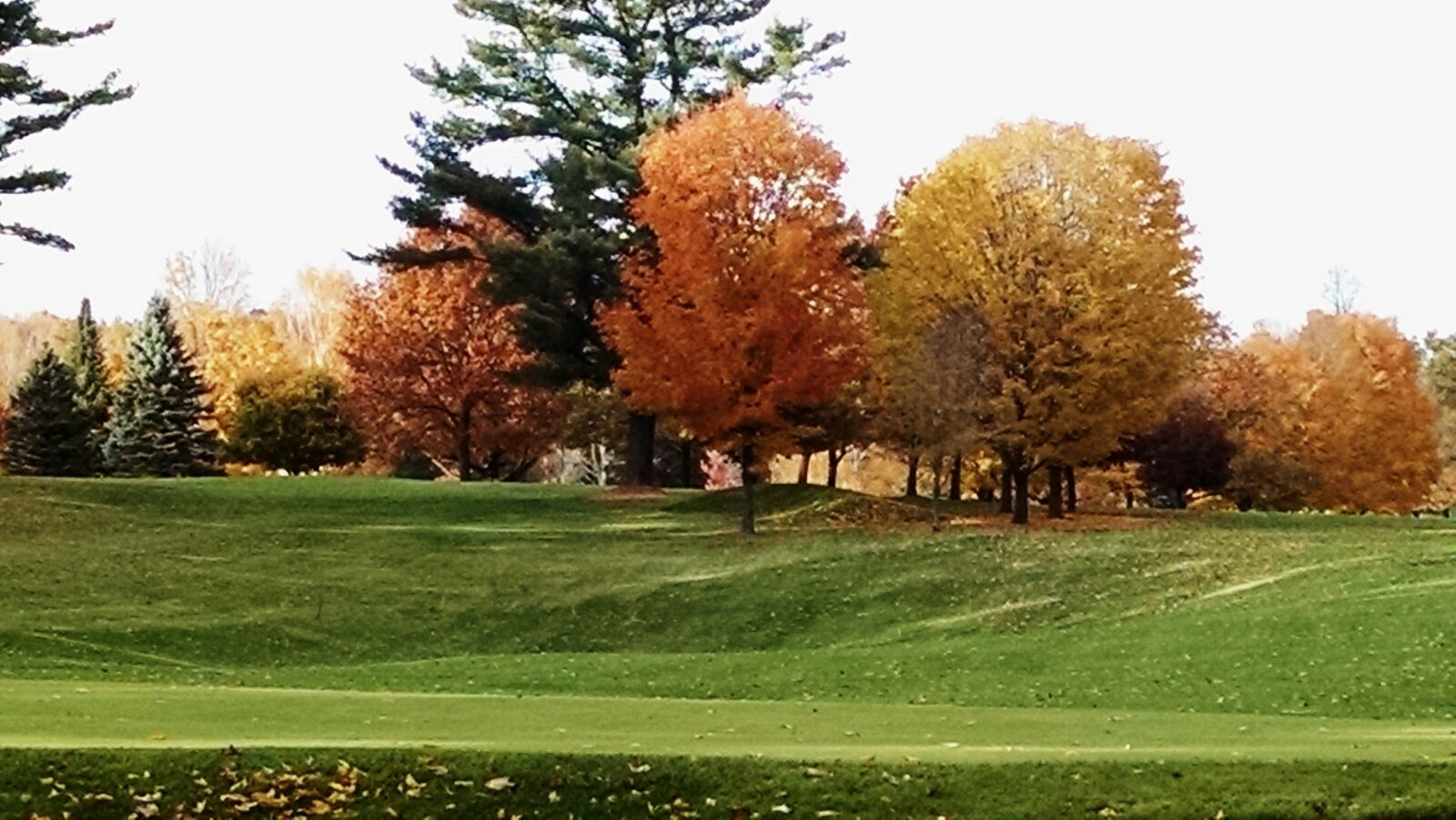 Motorola XT1080 sample photo. Autumn, scene, golf, course photography