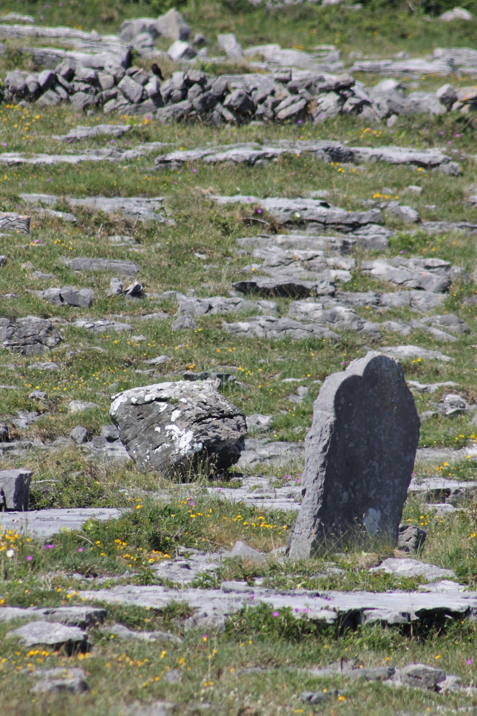 Canon EF 75-300mm f/4-5.6 sample photo. Aran islands, ireland, stones photography
