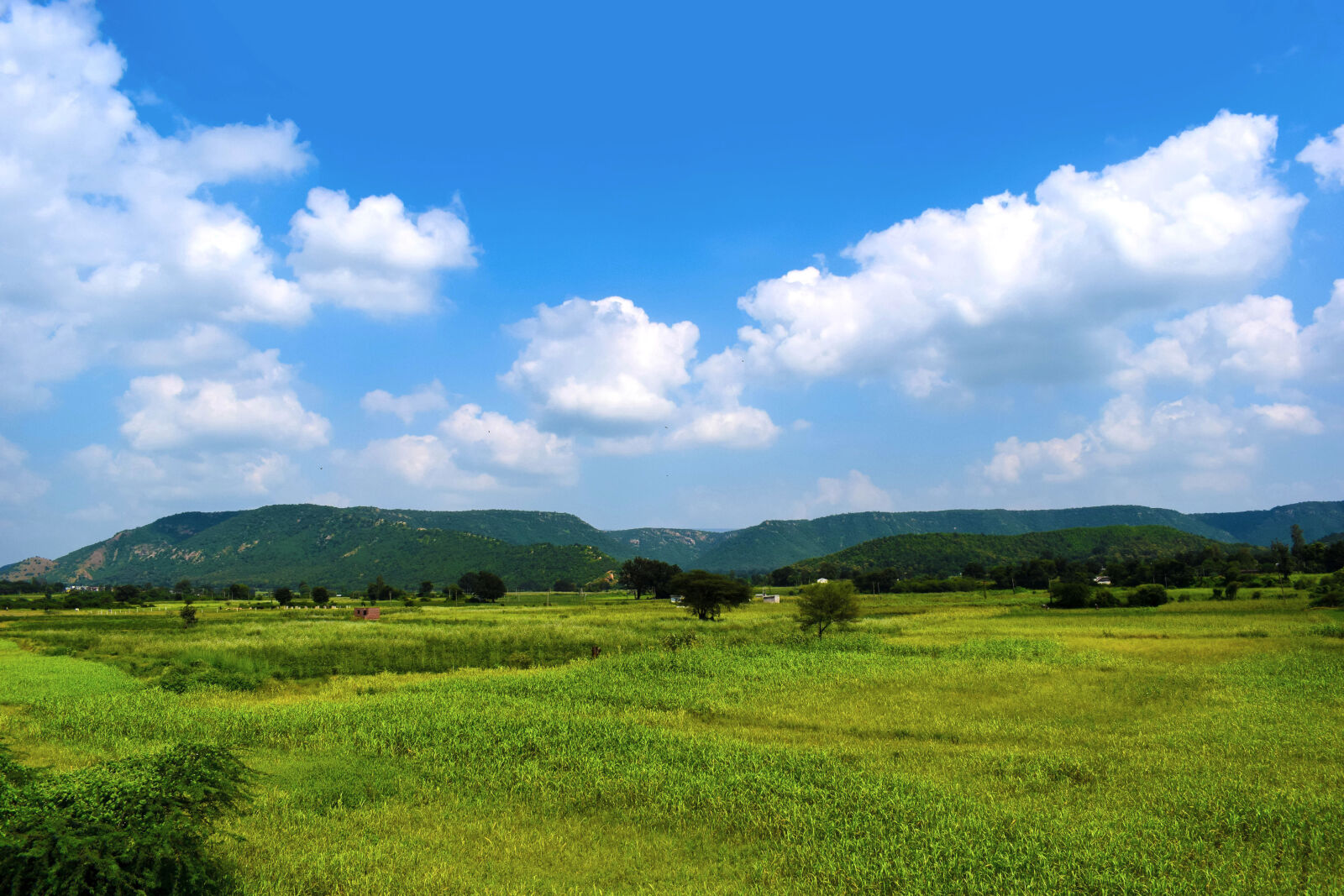 Nikon D3300 sample photo. Landscape, nature, photography photography