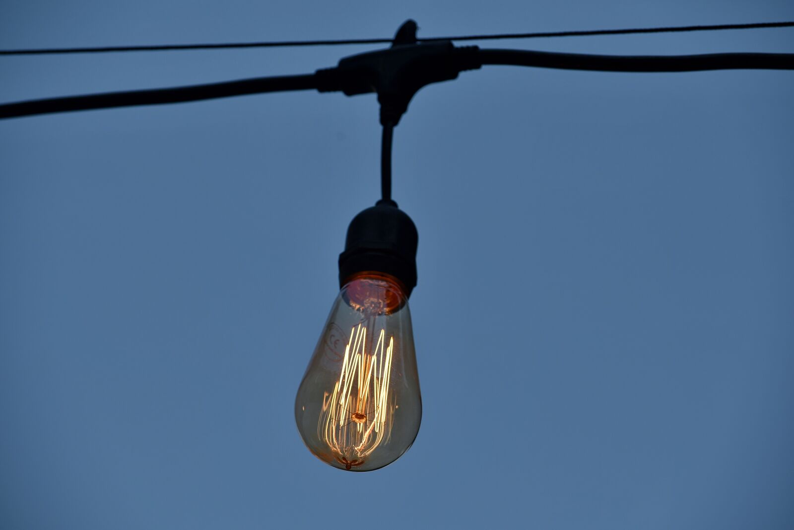 Nikon D5500 sample photo. Light bulb, voltage, cable photography