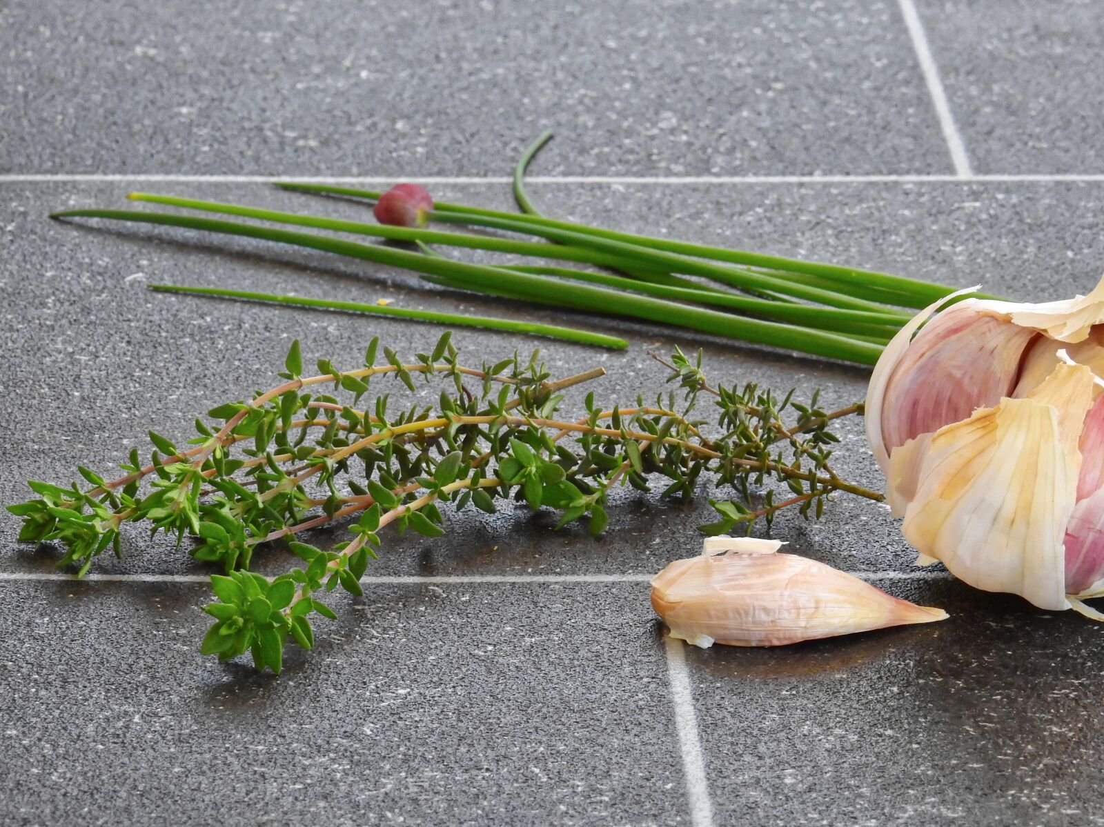 Nikon Coolpix P900 sample photo. Herbs, rosemary, leek photography