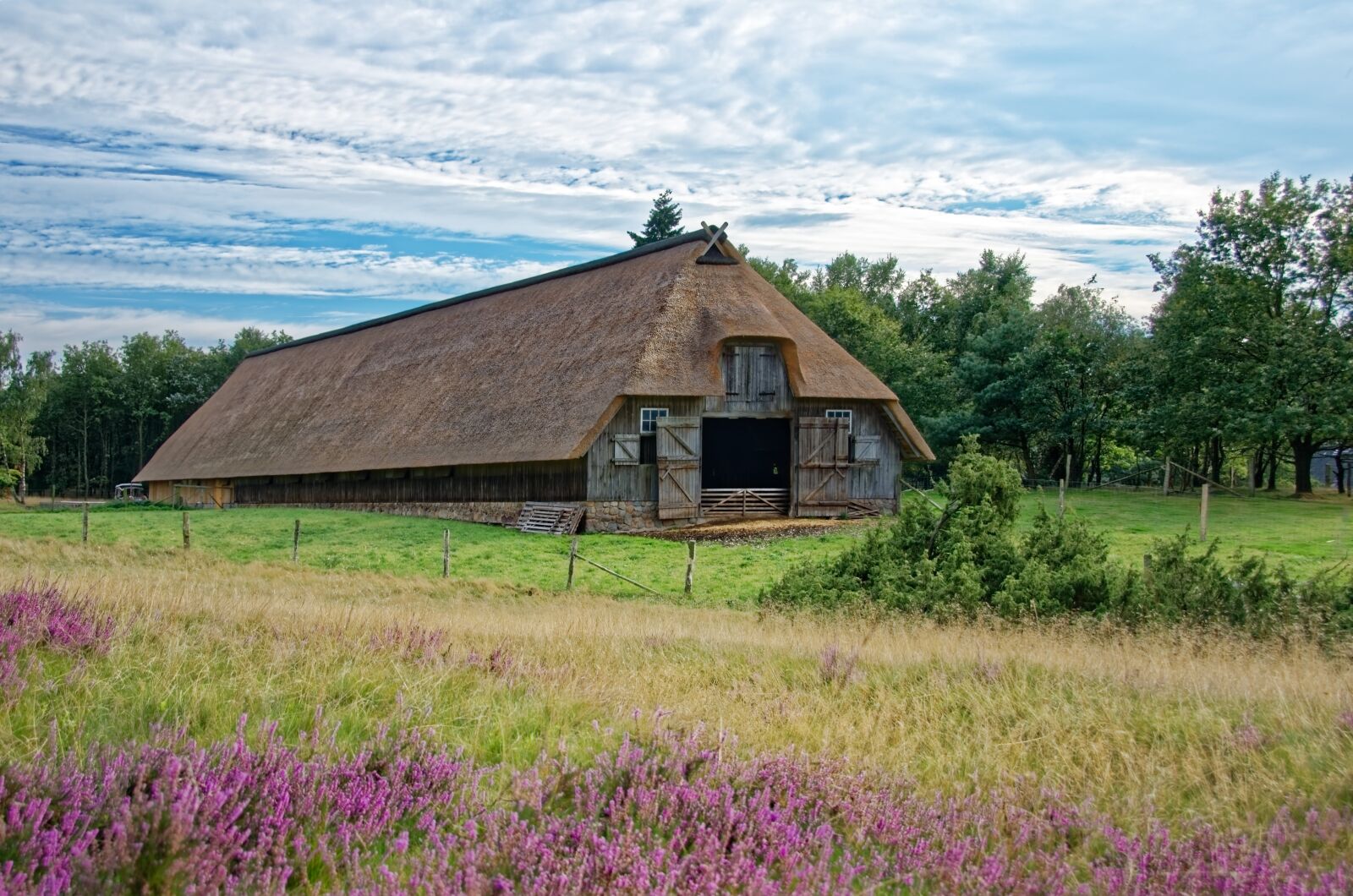 Nikon D7000 sample photo. Germany, l neburg heath photography