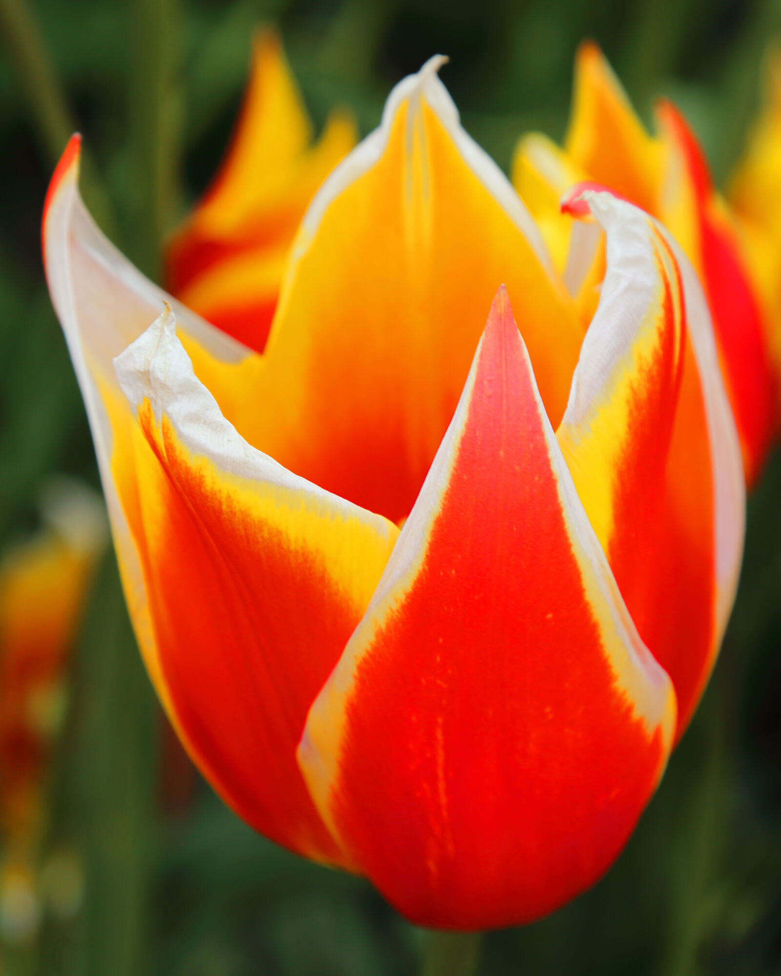 Canon EOS 5D Mark III sample photo. Marshal, waraich photography