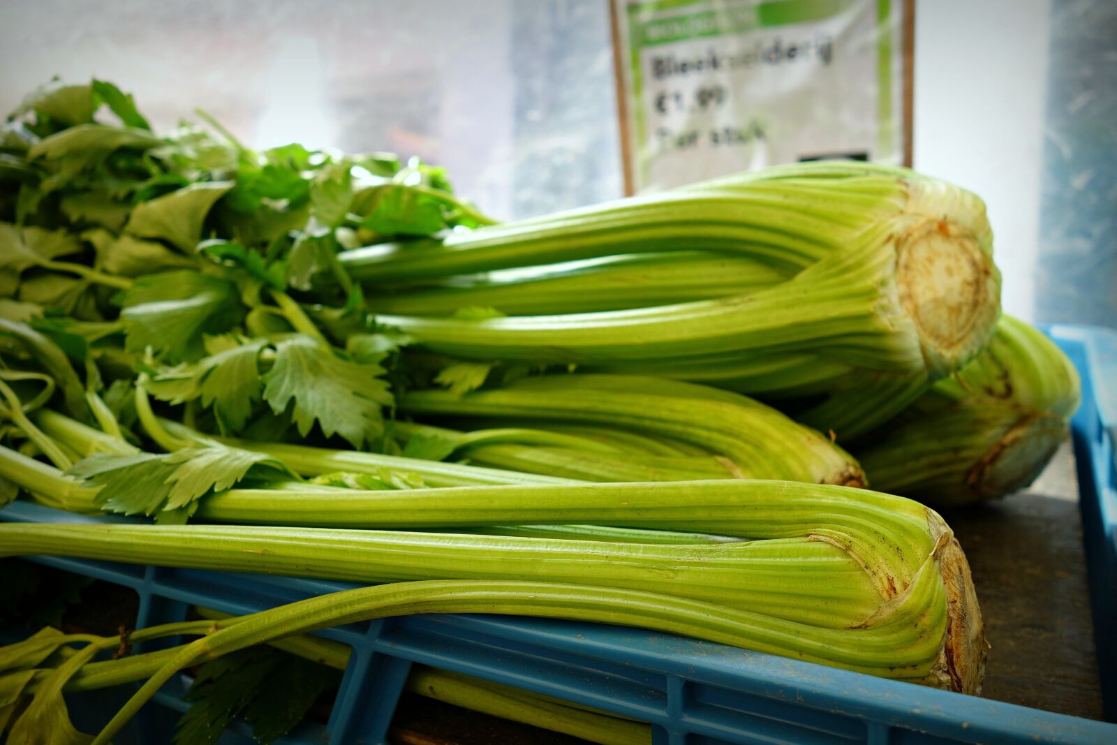 Sony Cyber-shot DSC-RX100 sample photo. Celery, shrub celery, vegetable photography