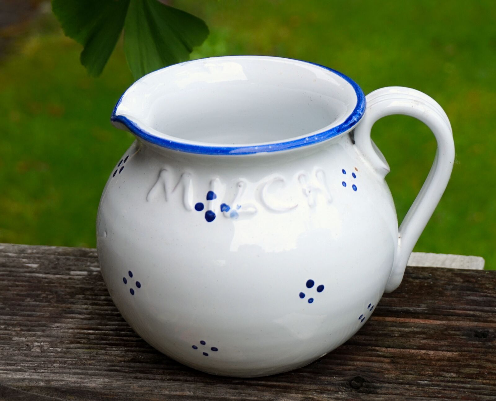 Sony Alpha a5000 (ILCE 5000) sample photo. Krug, milk, ceramic photography