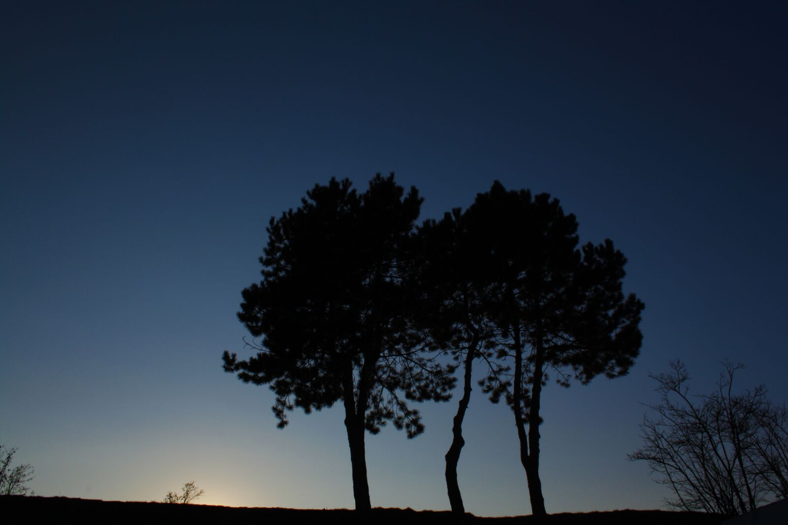 Canon EOS 1000D (EOS Digital Rebel XS / EOS Kiss F) sample photo. Tree, bank, lake photography