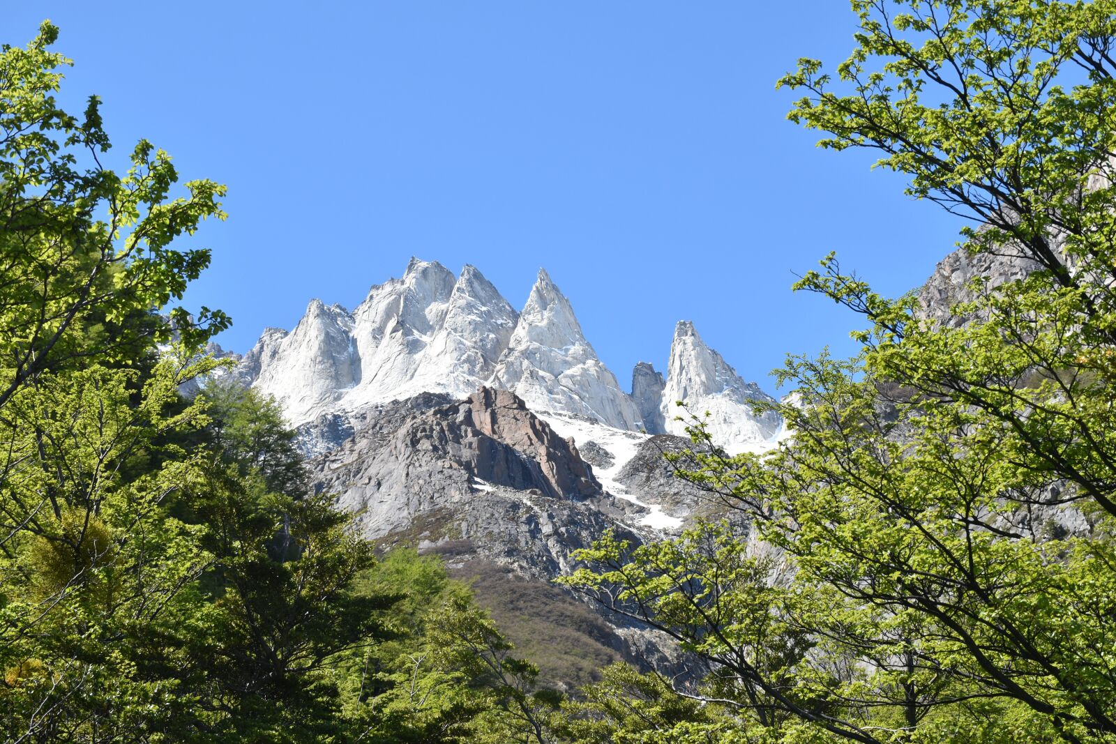 Nikon D5500 sample photo. Torres del paine, national photography
