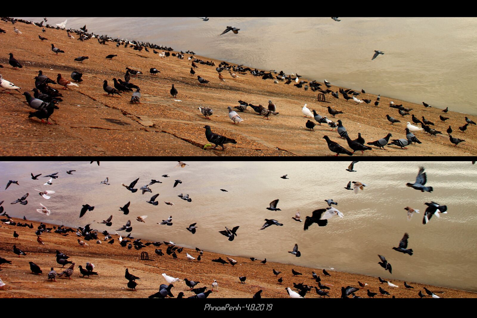 Canon EOS 700D (EOS Rebel T5i / EOS Kiss X7i) sample photo. Cambodia, bocau, bird photography