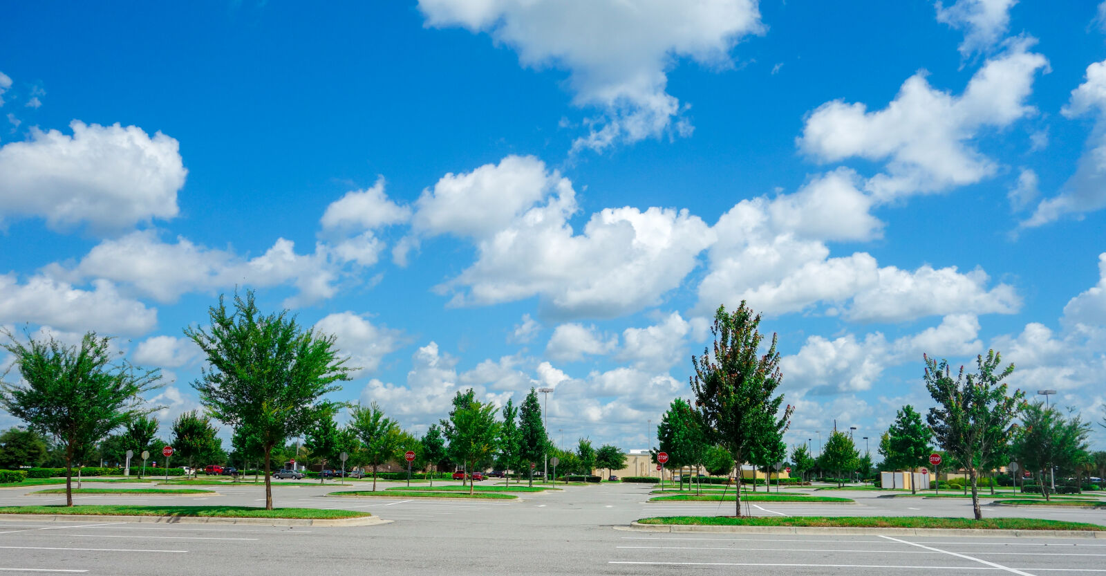 Sony Cyber-shot DSC-RX100 sample photo. Sky, clouds photography