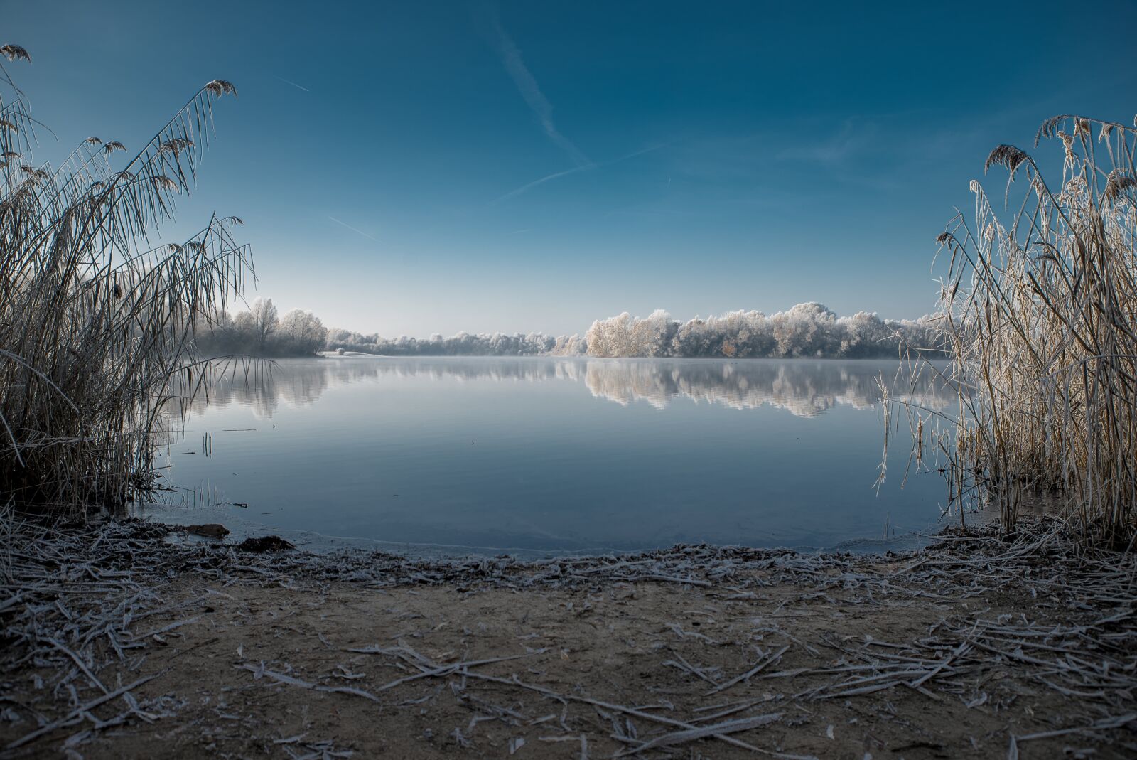 Sony a7S II + Sony DT 50mm F1.8 SAM sample photo. Winter, lake, cold photography
