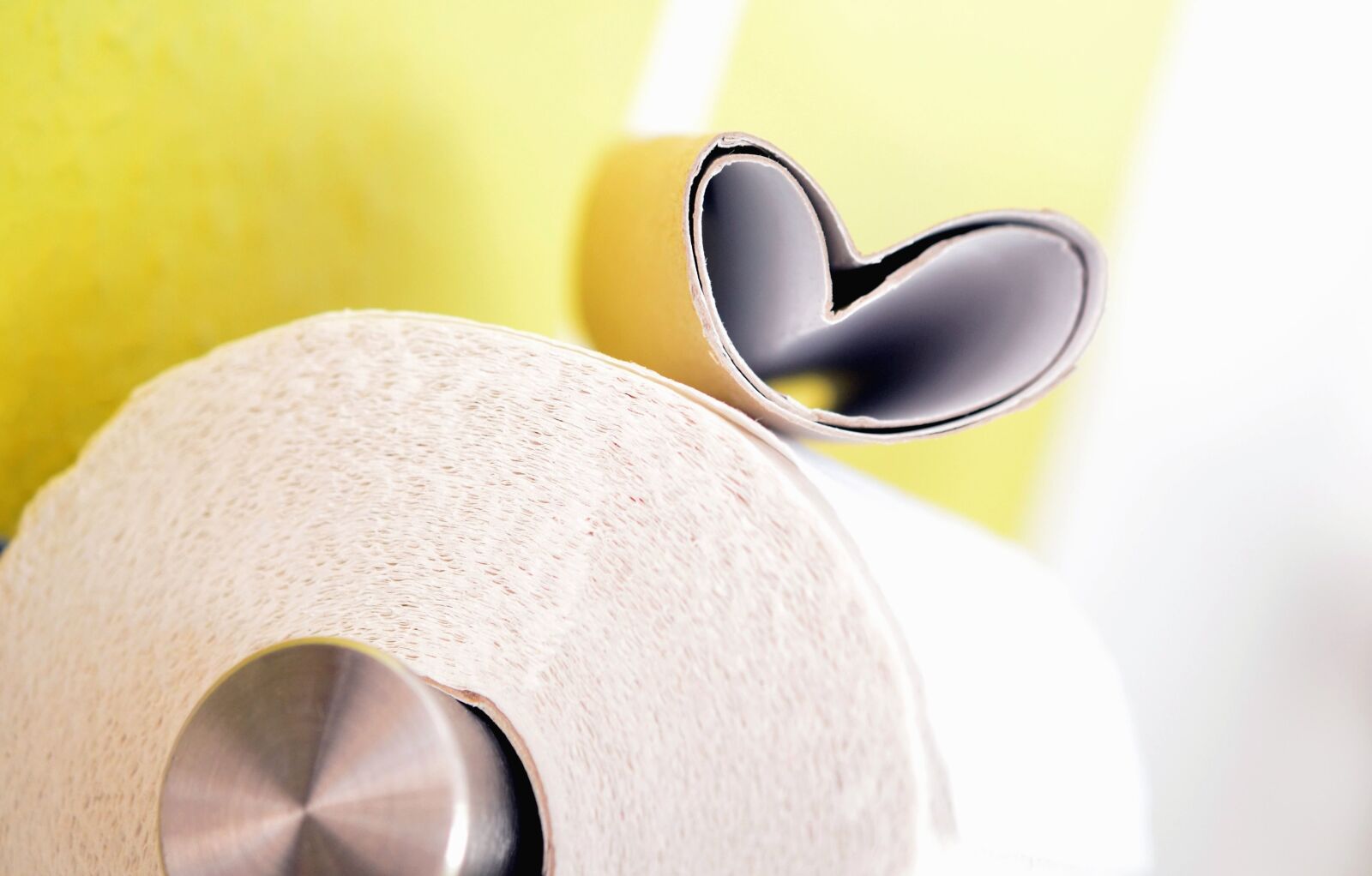 Nikon D5100 sample photo. Toilet, toilet paper, metal photography