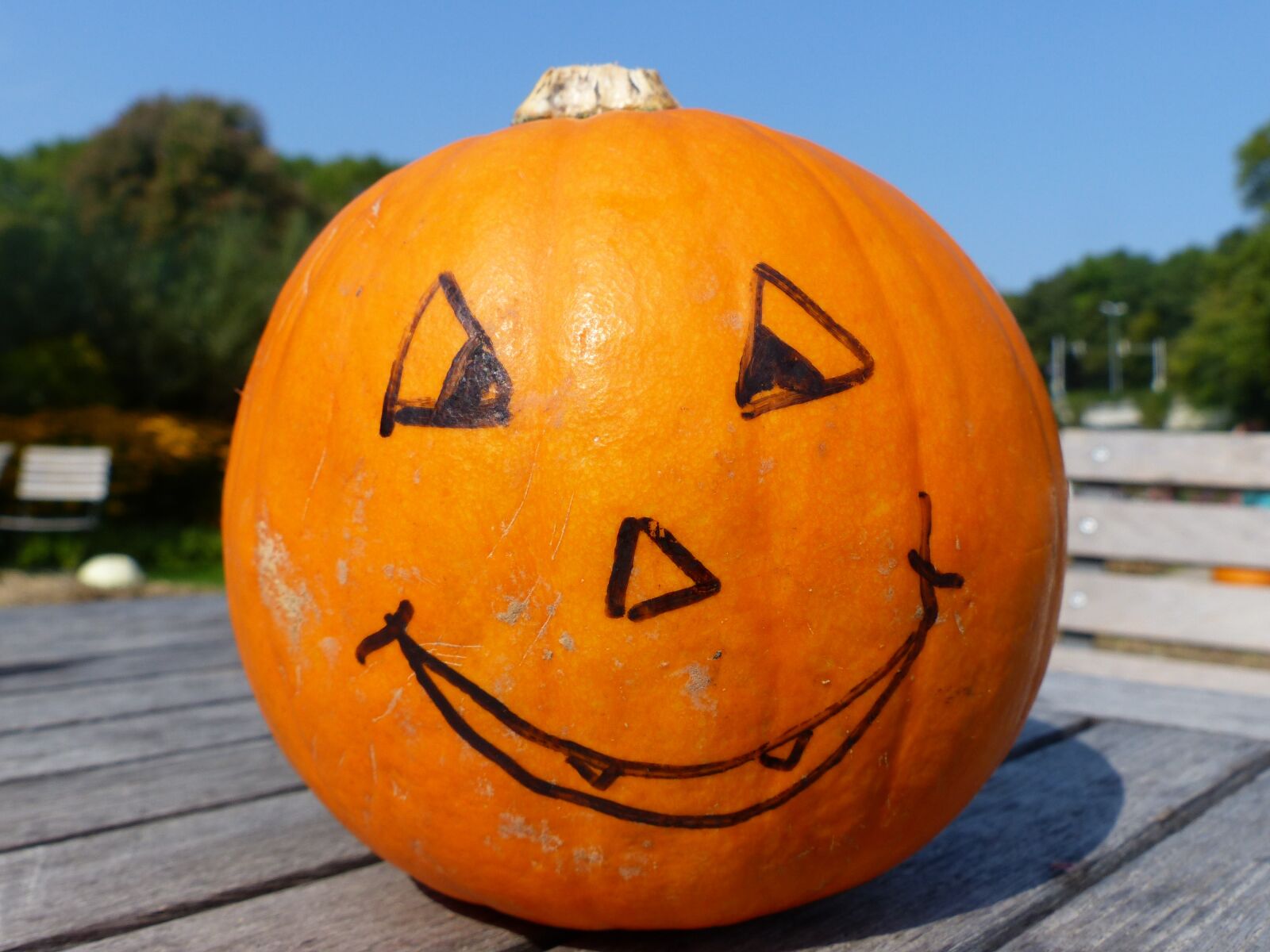 Panasonic Lumix DMC-FZ200 sample photo. Pumpkin, orange, autumn photography
