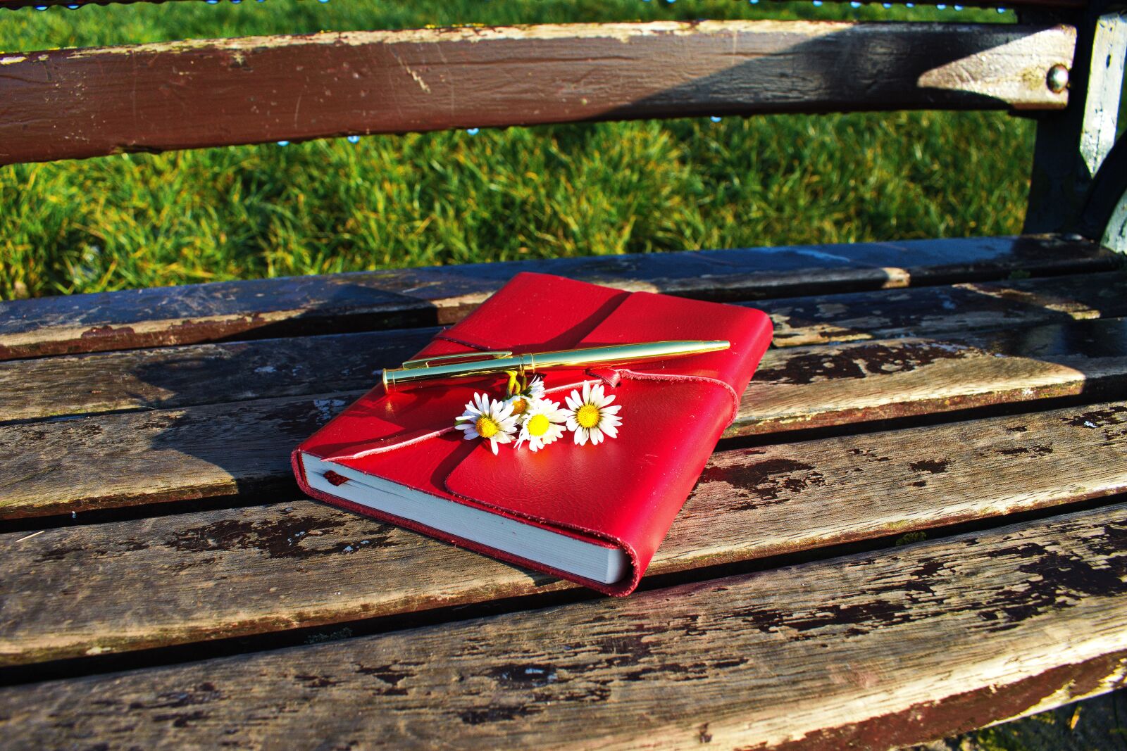 Nikon D3300 sample photo. Waiting, relaxing day, notebook photography