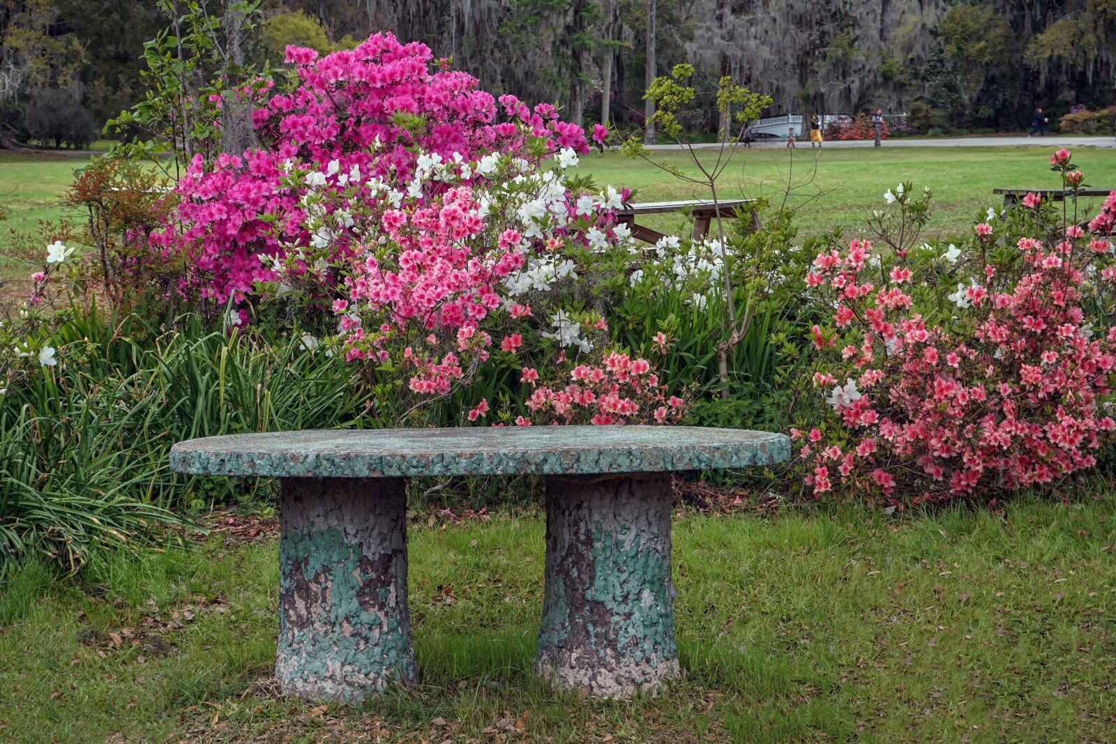 Sony a6300 sample photo. Bench, seat, rest photography