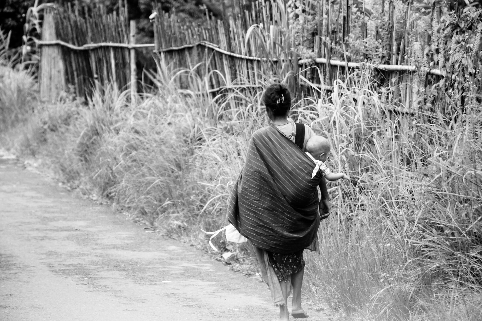 Canon EF-S 18-135mm F3.5-5.6 IS USM sample photo. Mother, nature, road photography