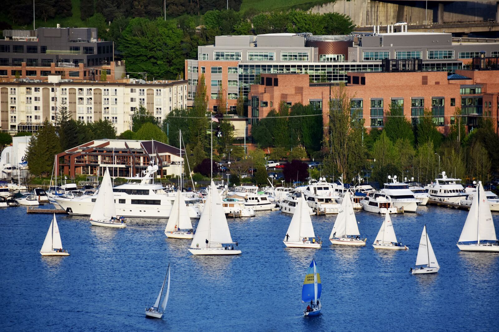 Nikon D3400 sample photo. Sailing boat, sailor, lake photography