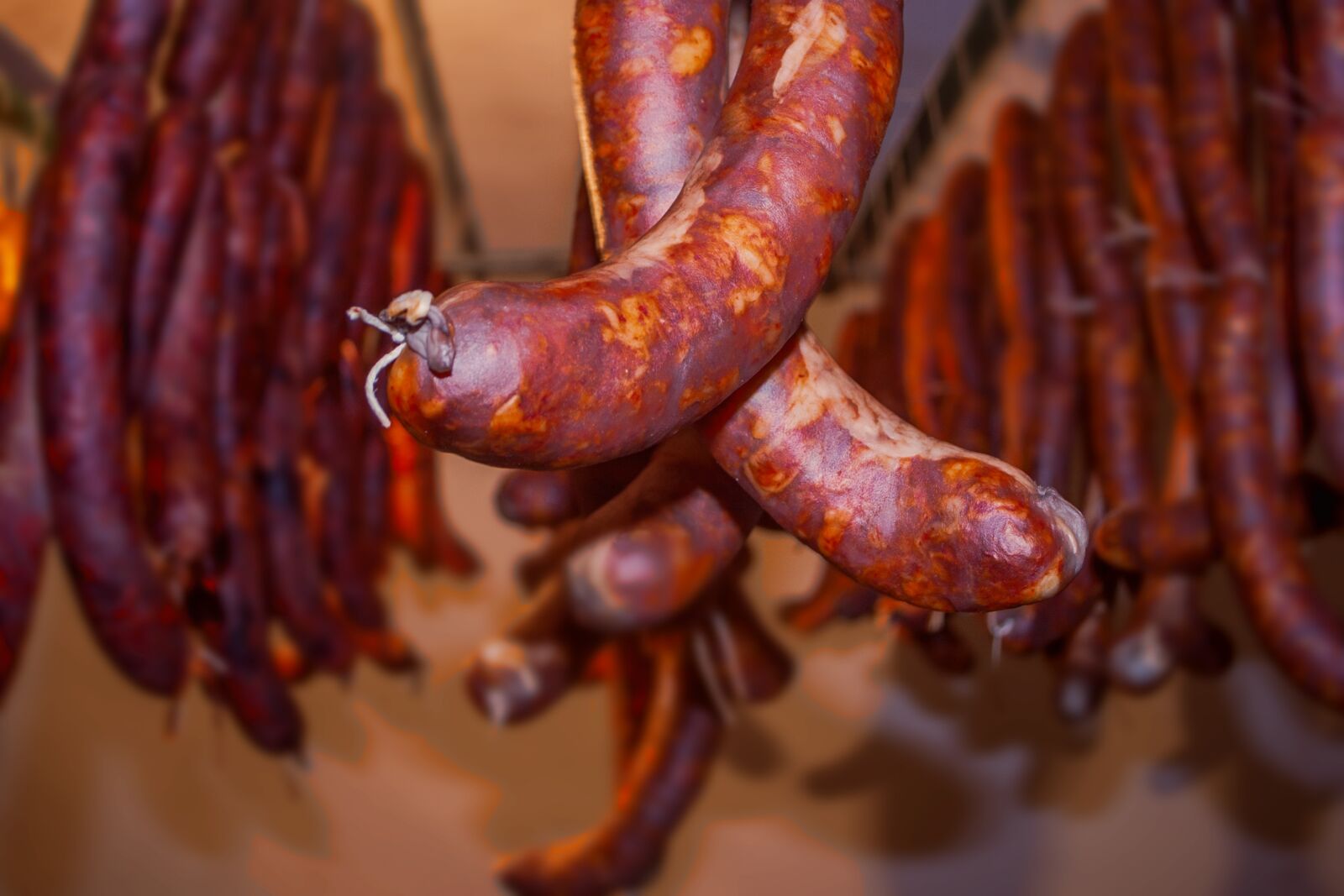 Canon EOS 350D (EOS Digital Rebel XT / EOS Kiss Digital N) sample photo. Food, sausage, invertebrate photography