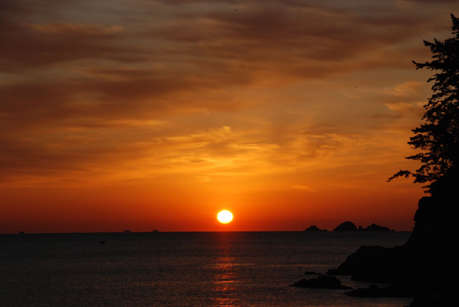 Nikon D80 sample photo. Sunrise, in the new photography