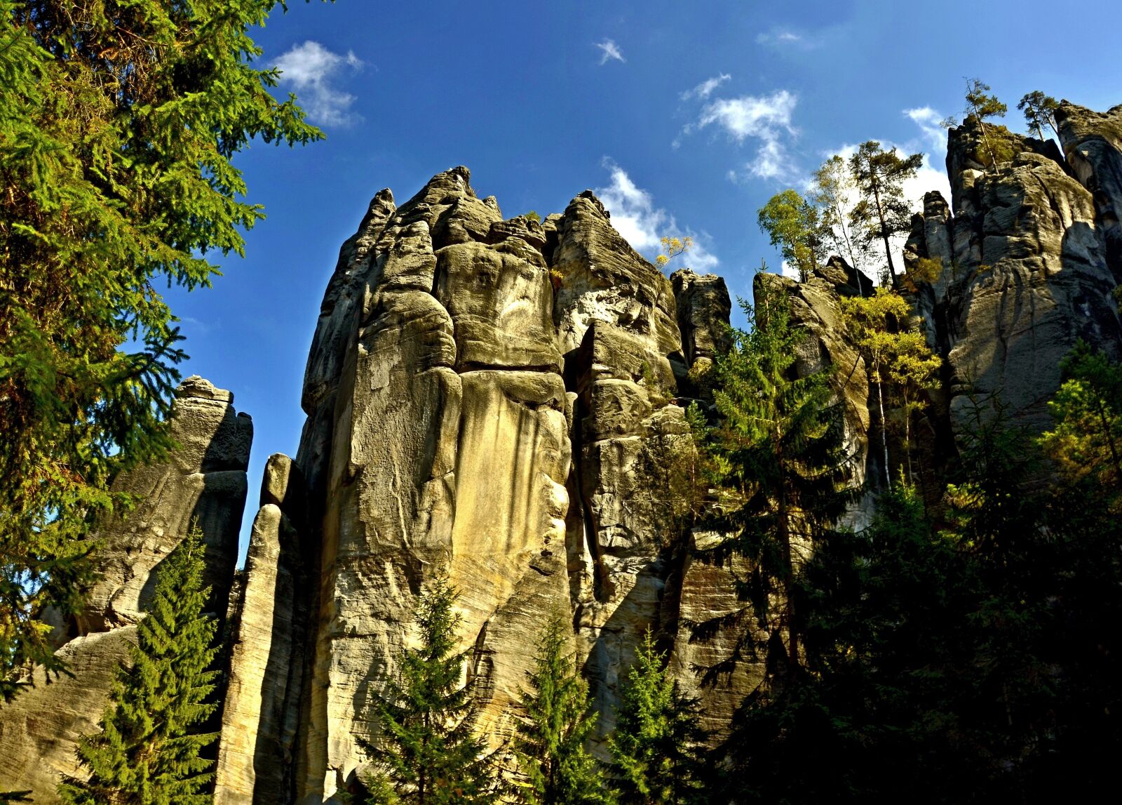 Nikon D5100 sample photo. Czech republic, greenhouse, rock photography