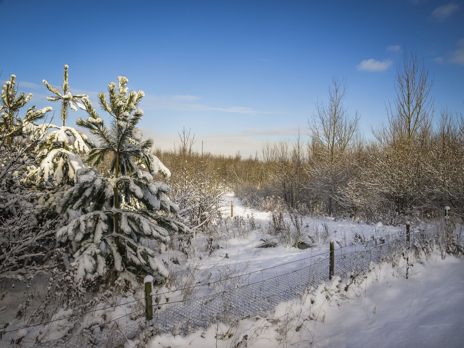Olympus E-510 (EVOLT E-510) sample photo. Snow, winter, landscape photography