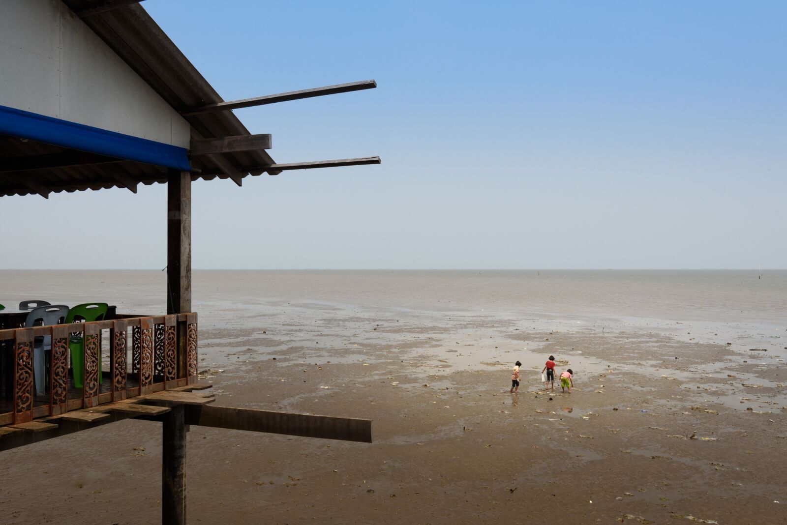 Nikon D750 sample photo. Low, tide, razor photography