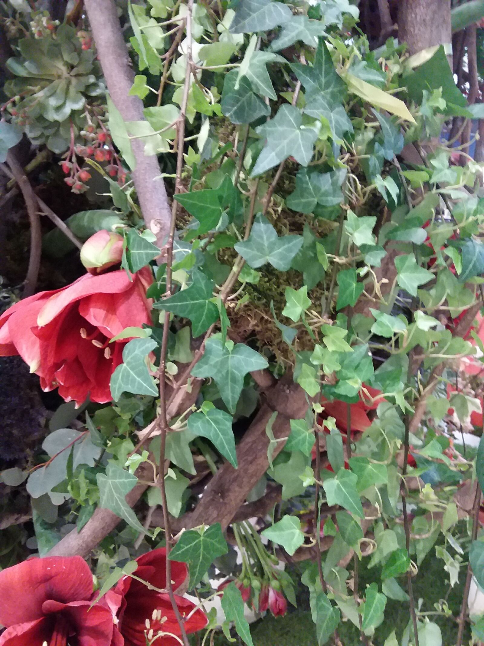Samsung Galaxy J3(2016) sample photo