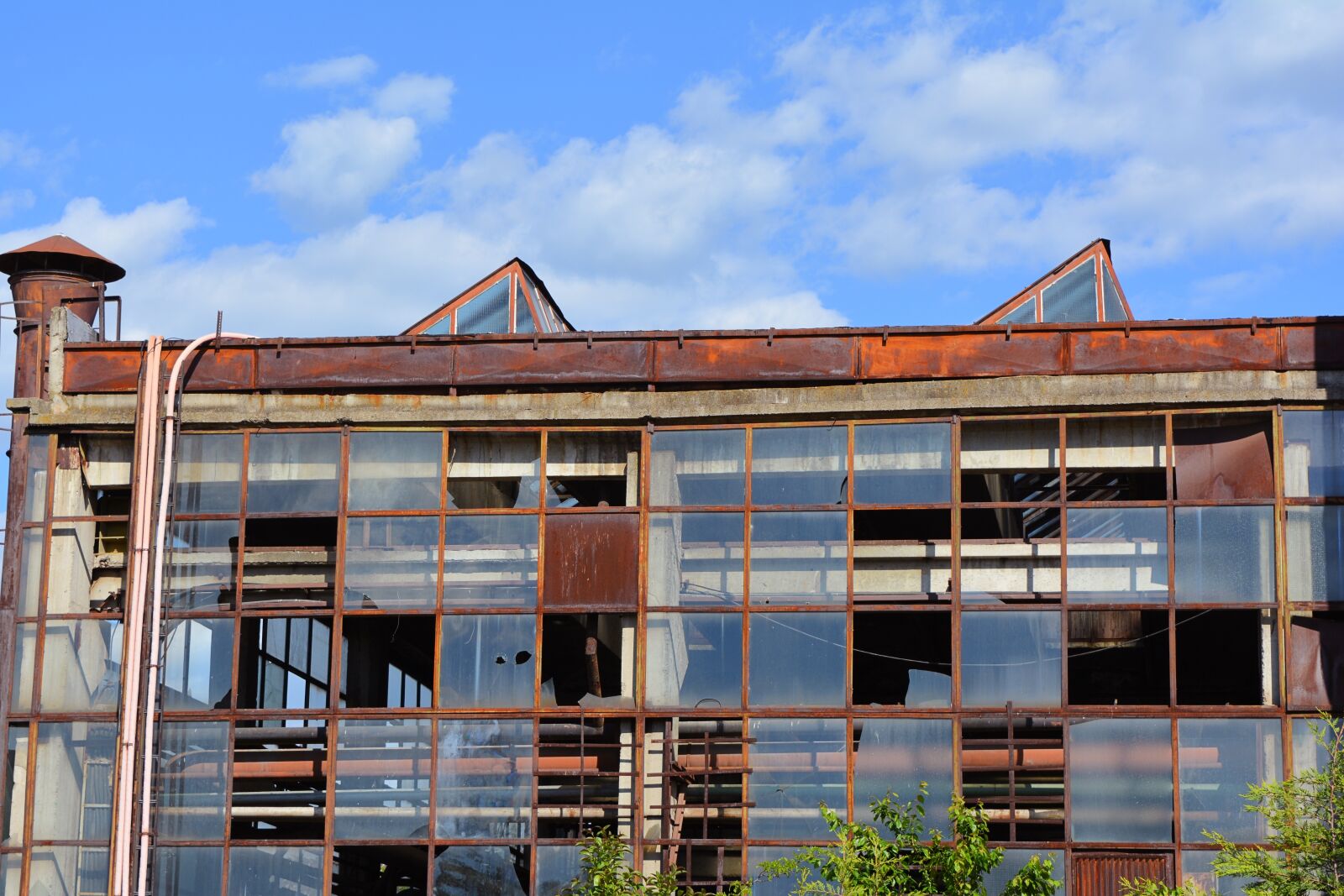 Nikon D5200 sample photo. Plant, old, ruin photography