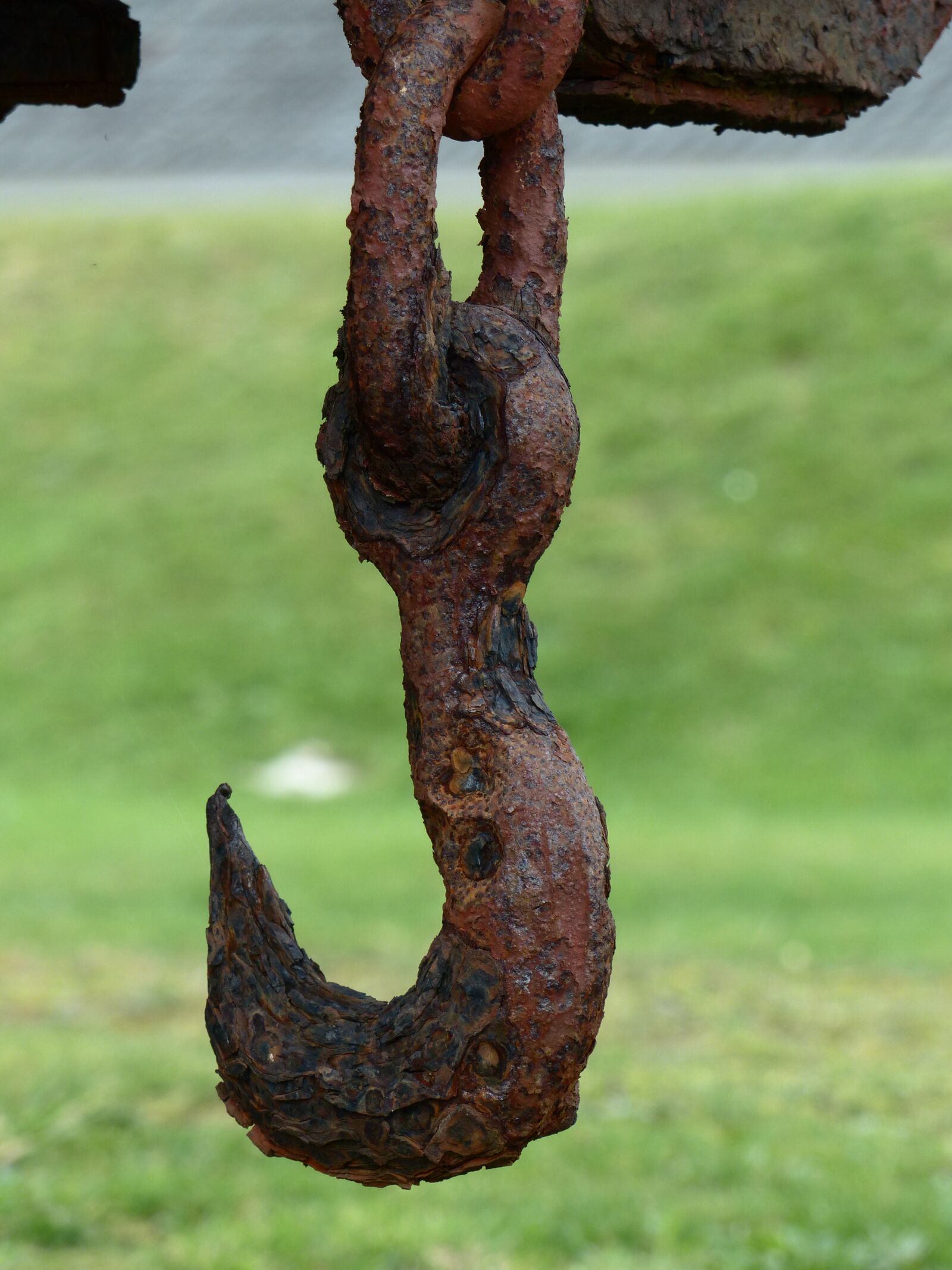 Panasonic Lumix DMC-FZ200 sample photo. Hook, rust, metal photography