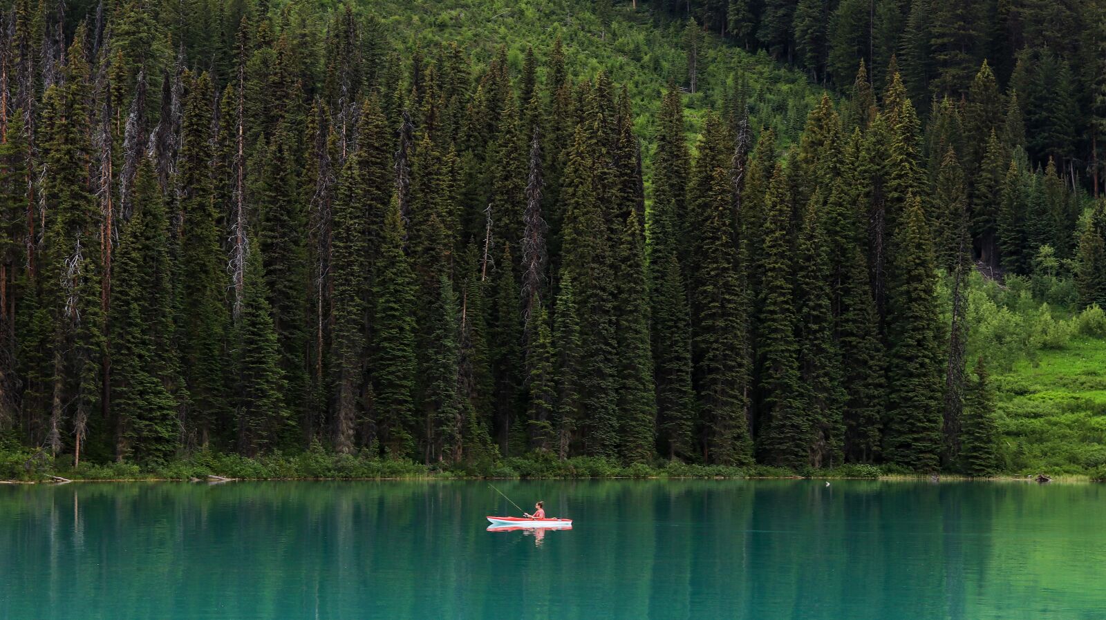 Canon EF 50mm F1.8 STM sample photo. Emerald lake fishing photography