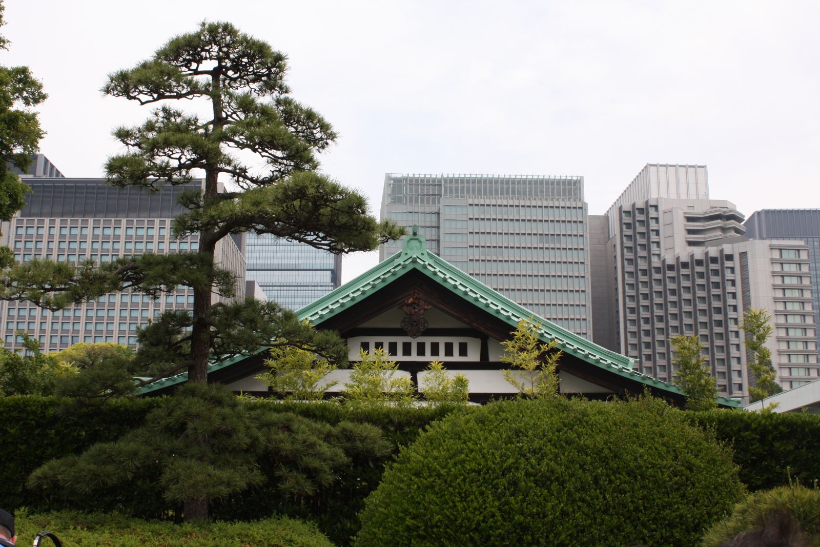 Canon EOS 450D (EOS Rebel XSi / EOS Kiss X2) sample photo. Tokyo, park, garden photography
