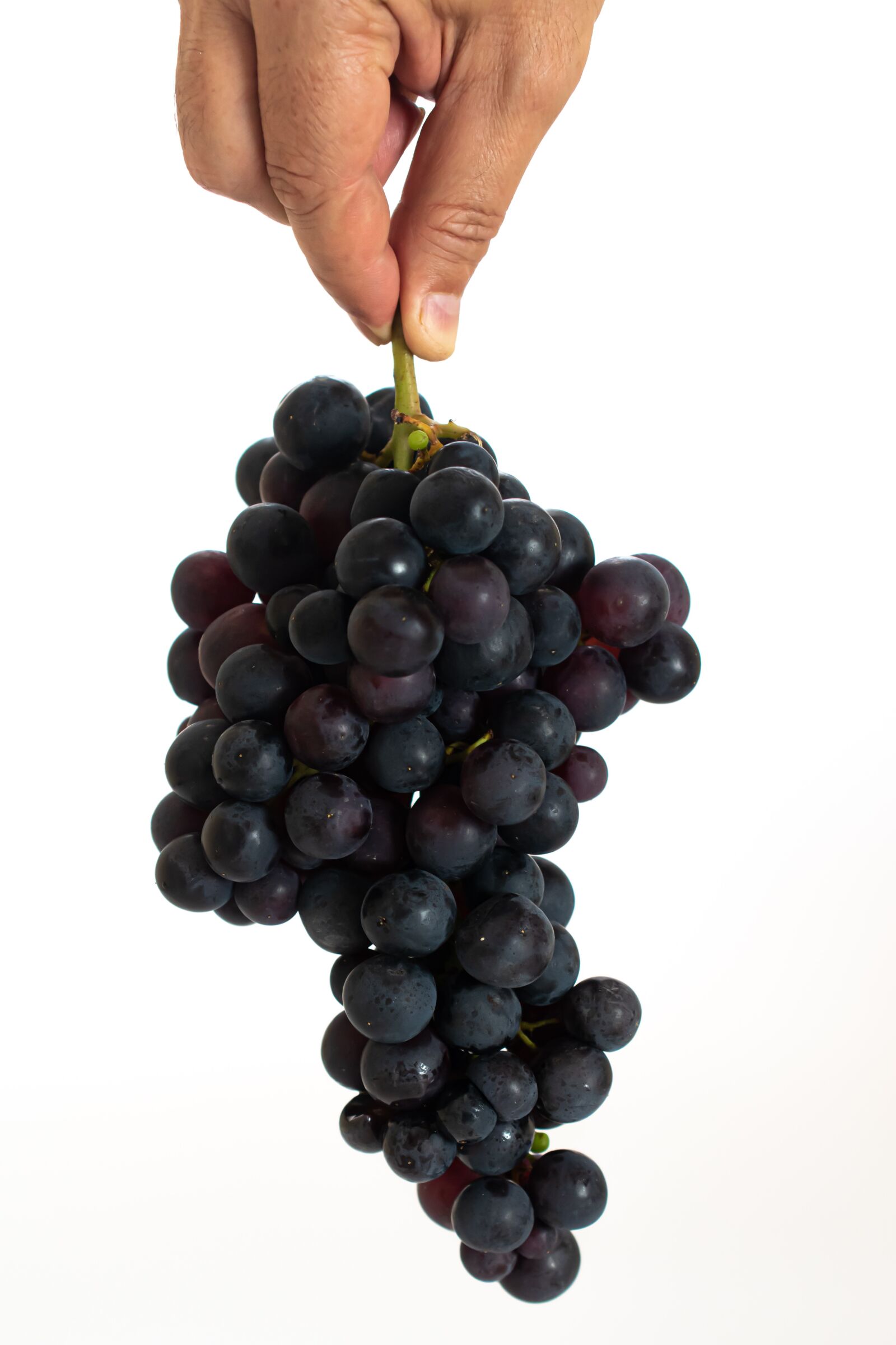 Nikon D5600 sample photo. Grape, fruit, food photography