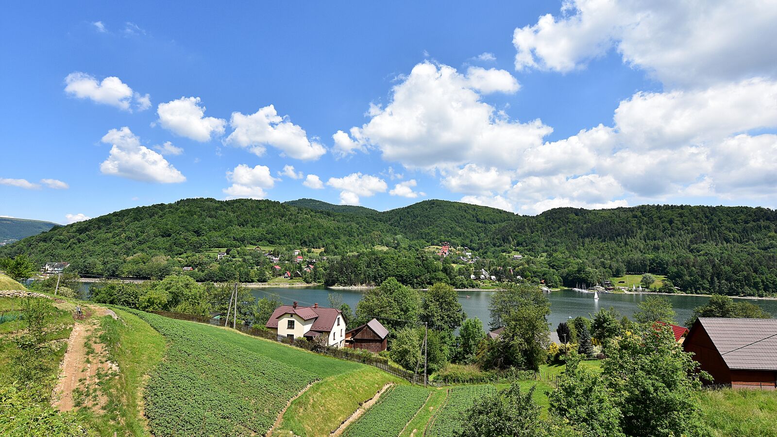Nikon D7200 sample photo. Nature, panoramic, tree photography
