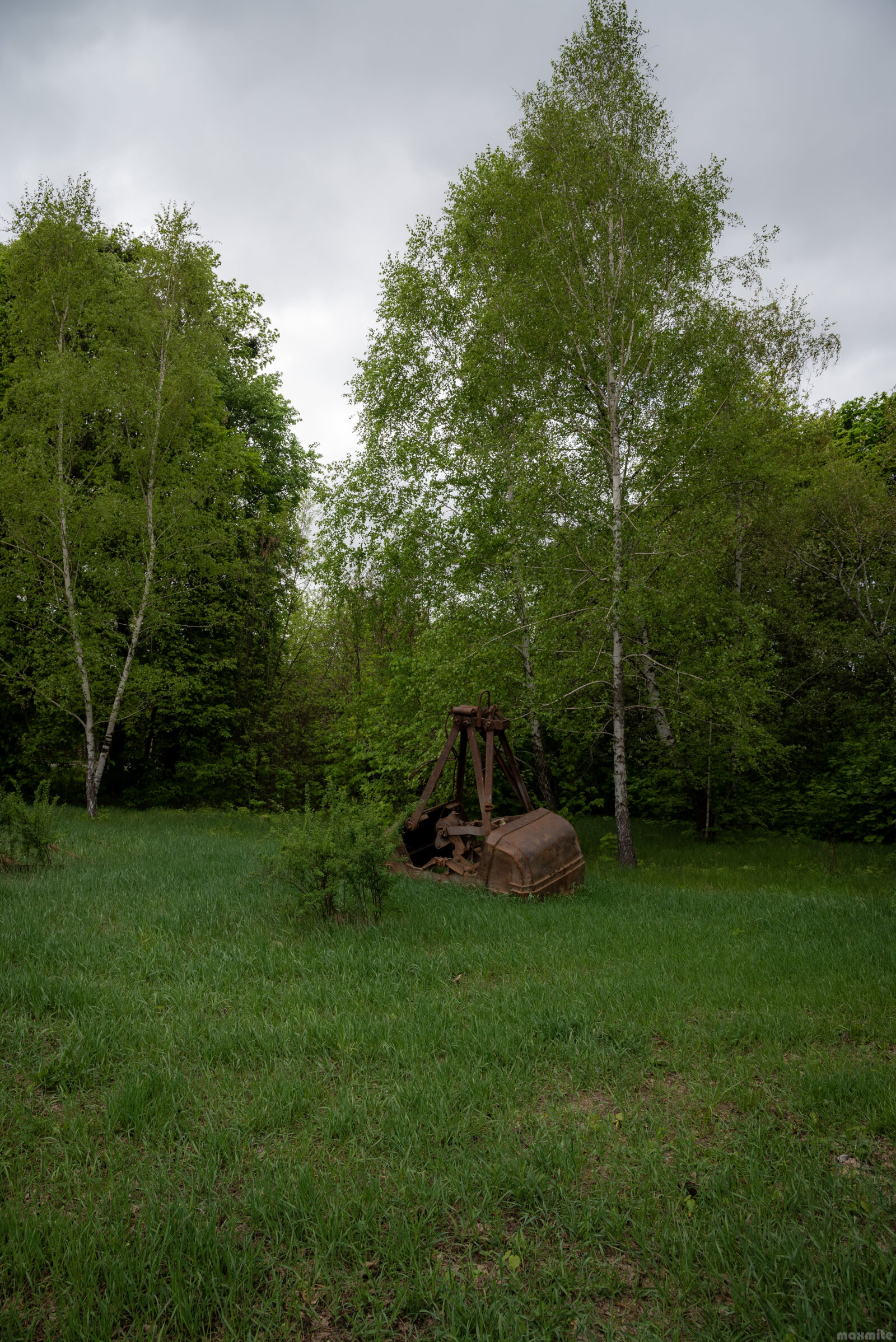 Nikon D750 sample photo