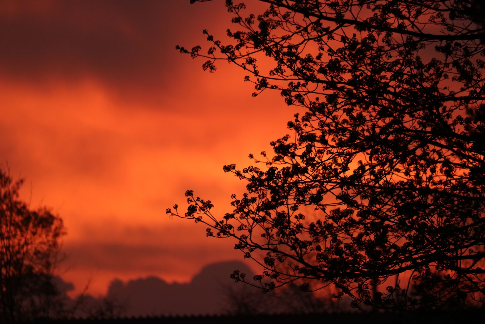 Canon EOS 750D (EOS Rebel T6i / EOS Kiss X8i) sample photo. Morgenstimmung, red, morgenrot photography