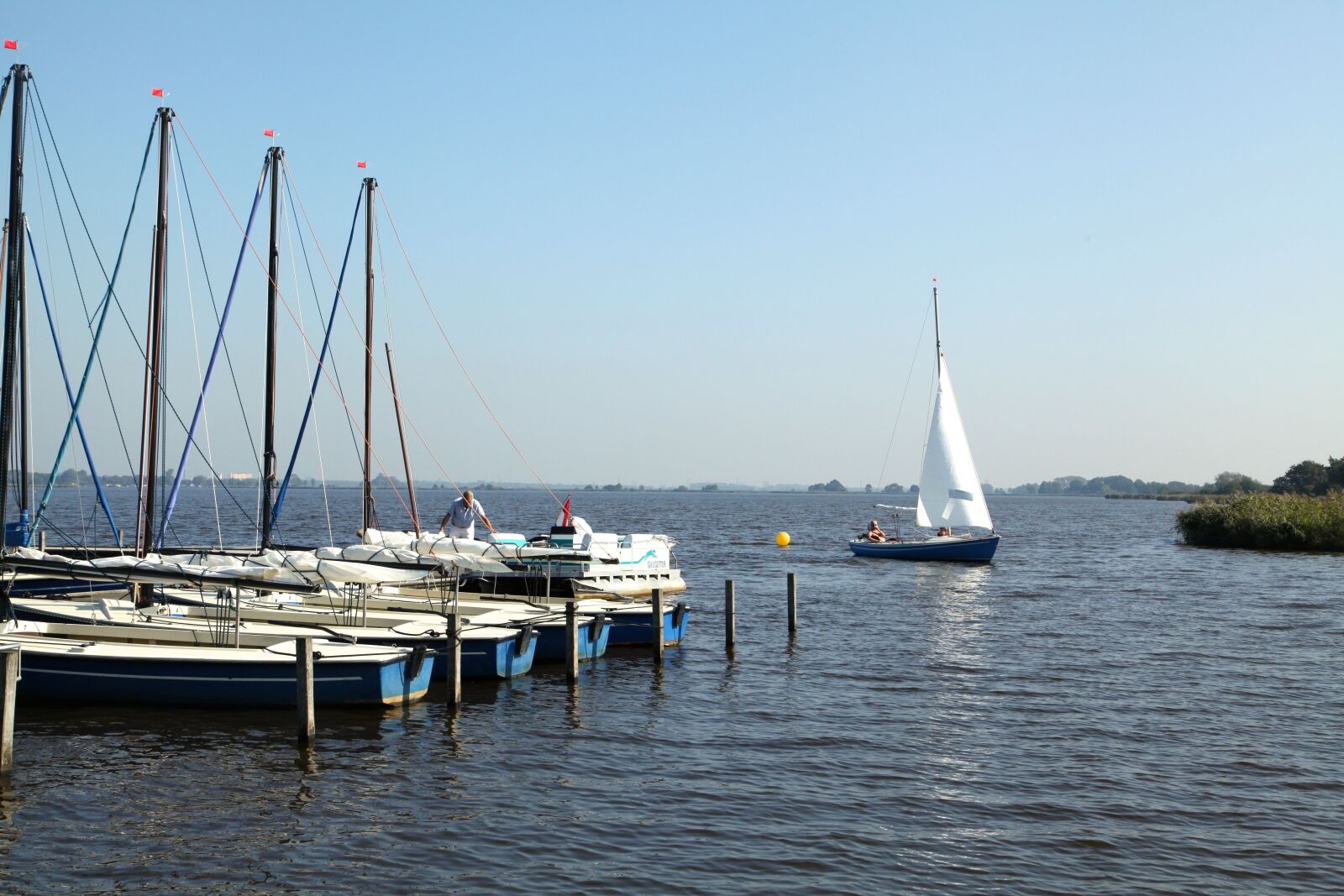 Canon EOS 5D Mark II sample photo. Lake, sailboats, harbour photography