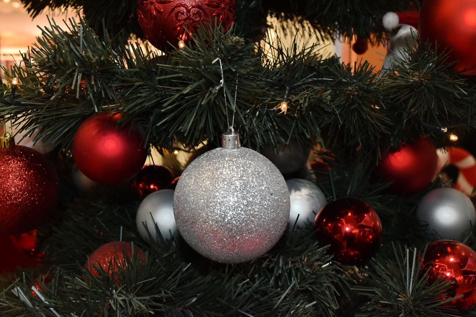 Nikon D5500 sample photo. Celebration, christmas tree, holiday photography