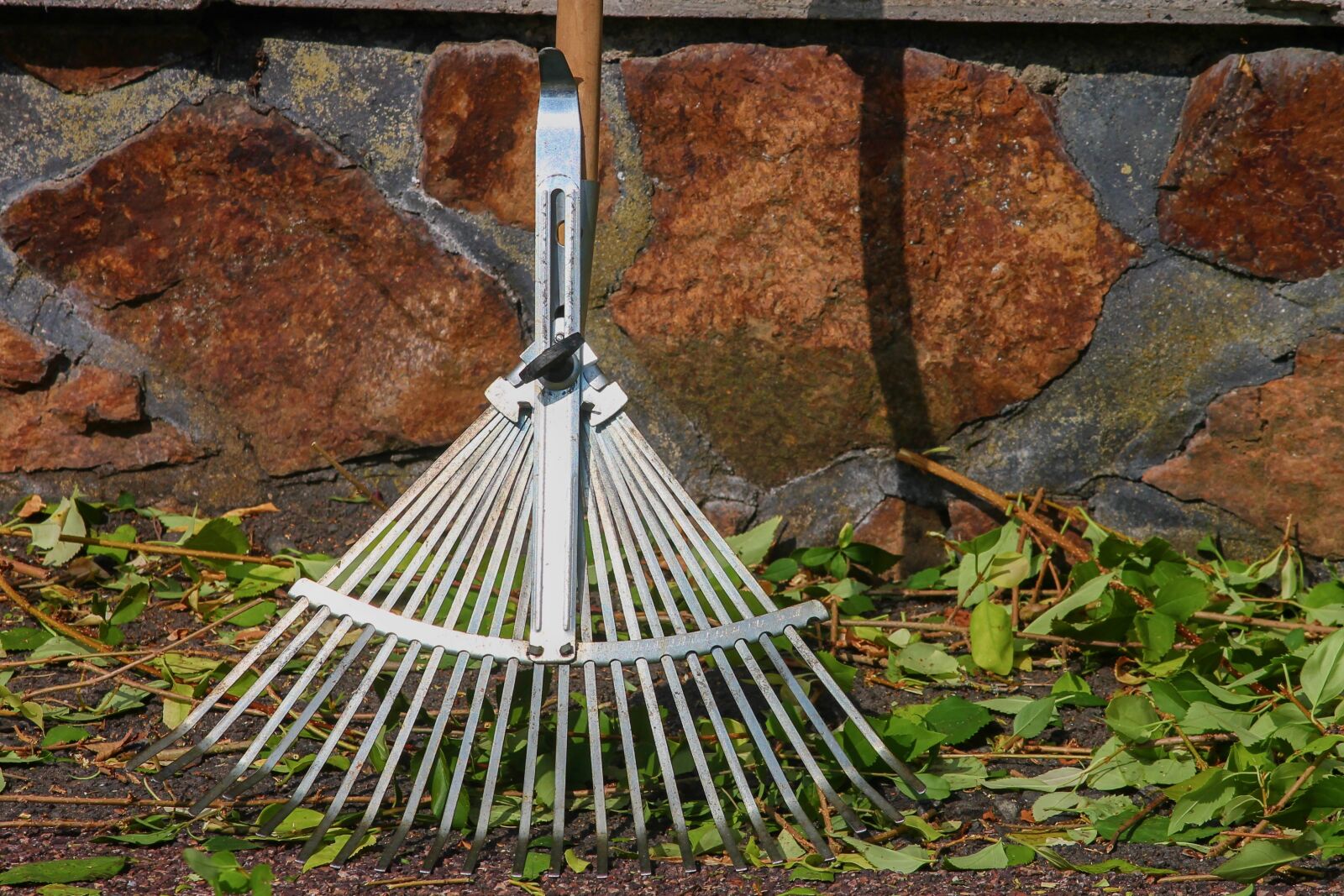 Canon EOS 1100D (EOS Rebel T3 / EOS Kiss X50) sample photo. Computing, garden rake, raking photography