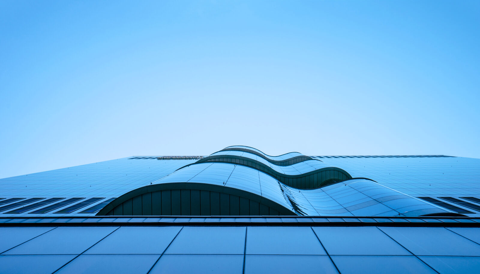Sony a7 II + Sony Vario-Tessar T* FE 16-35mm F4 ZA OSS sample photo. Worms, eye, view, of photography