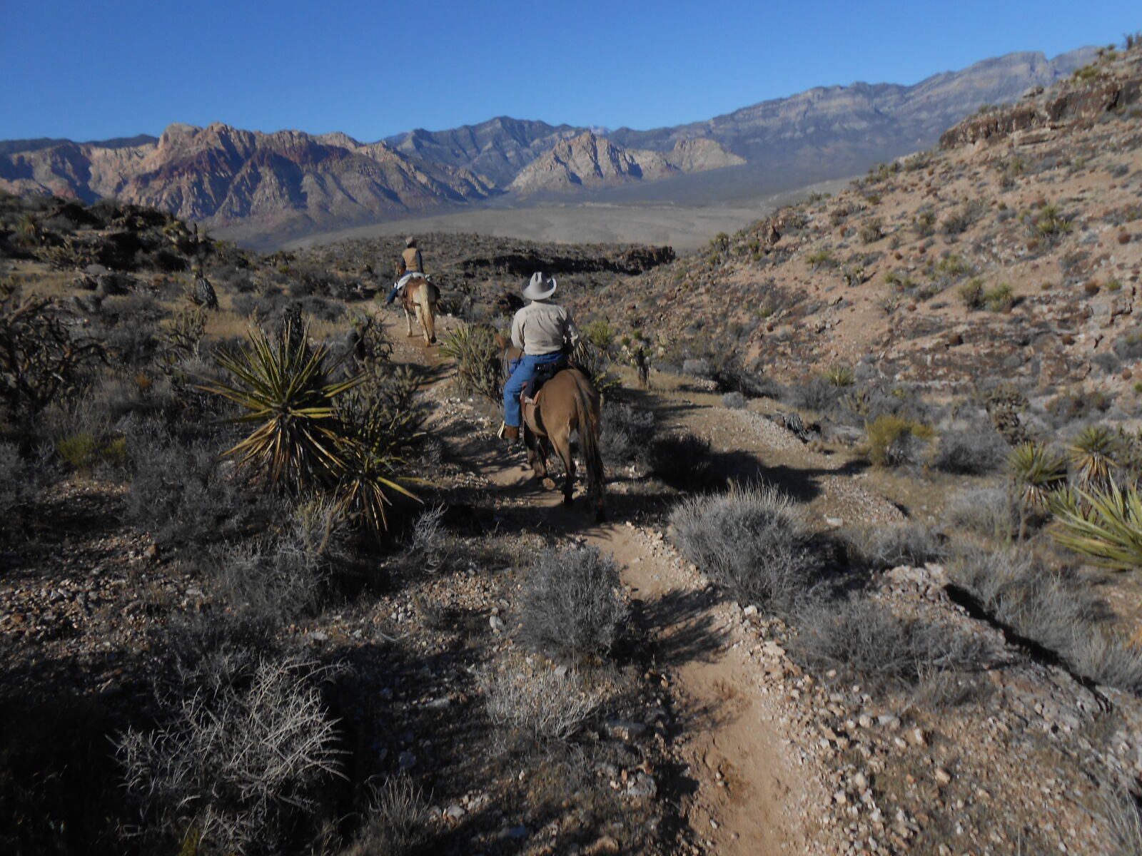 Nikon Coolpix S4300 sample photo. Desert, horseman photography