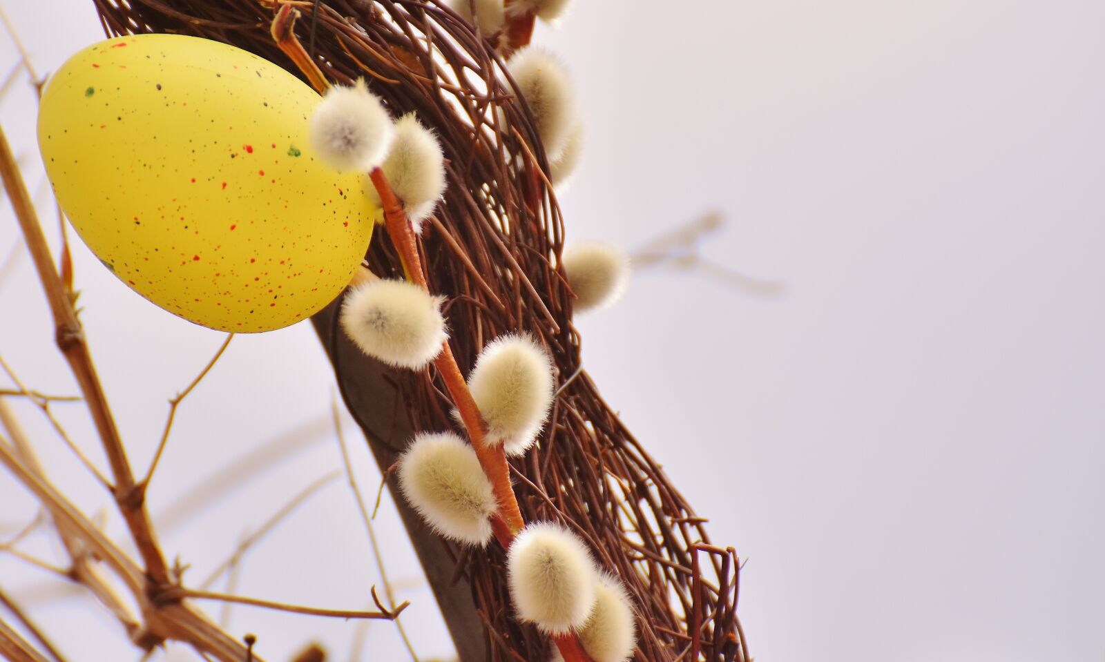Nikon D7200 sample photo. Willow catkin, spring, easter photography