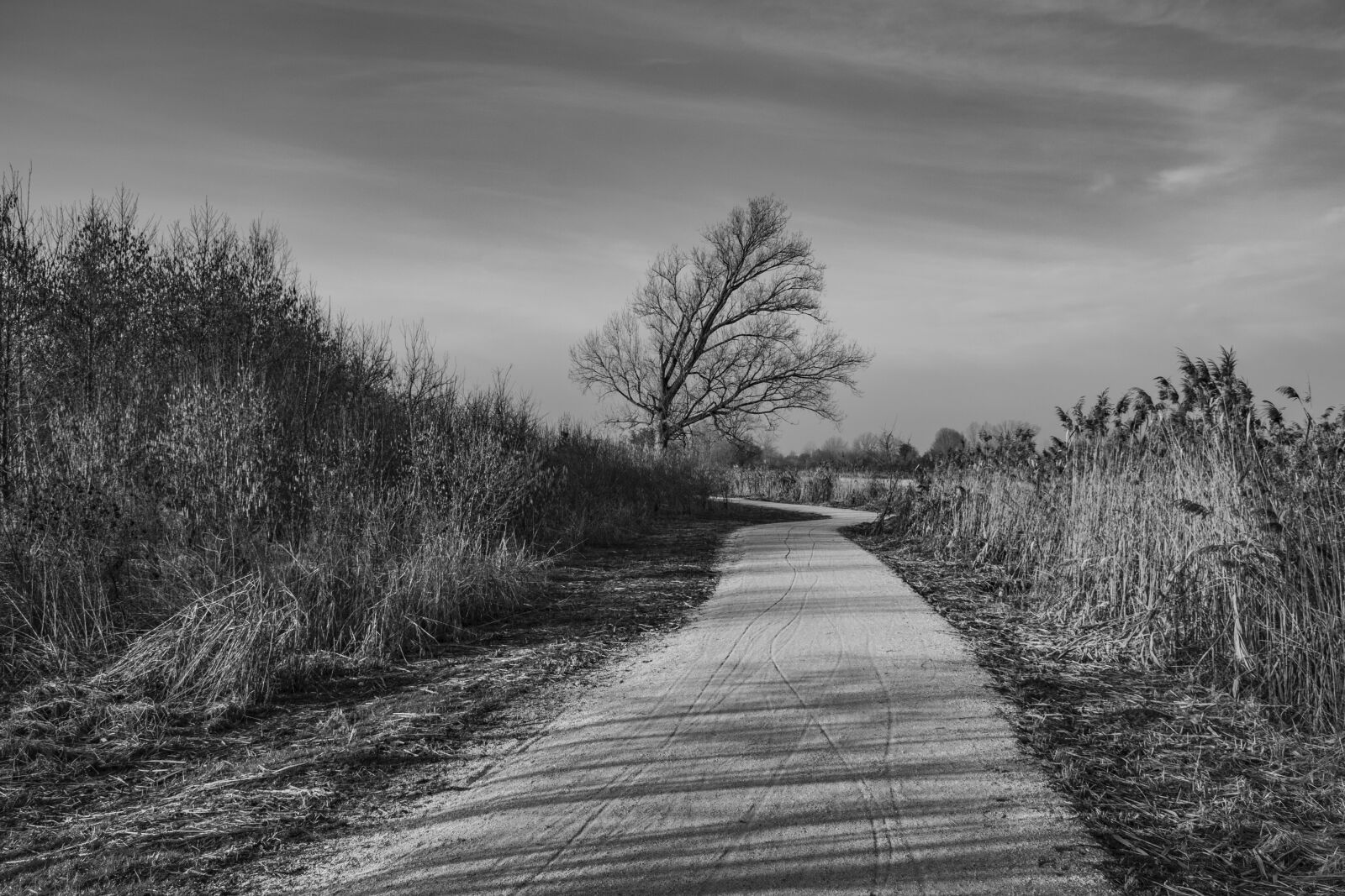 Nikon D7100 sample photo. Lombardy, plain, campaign photography