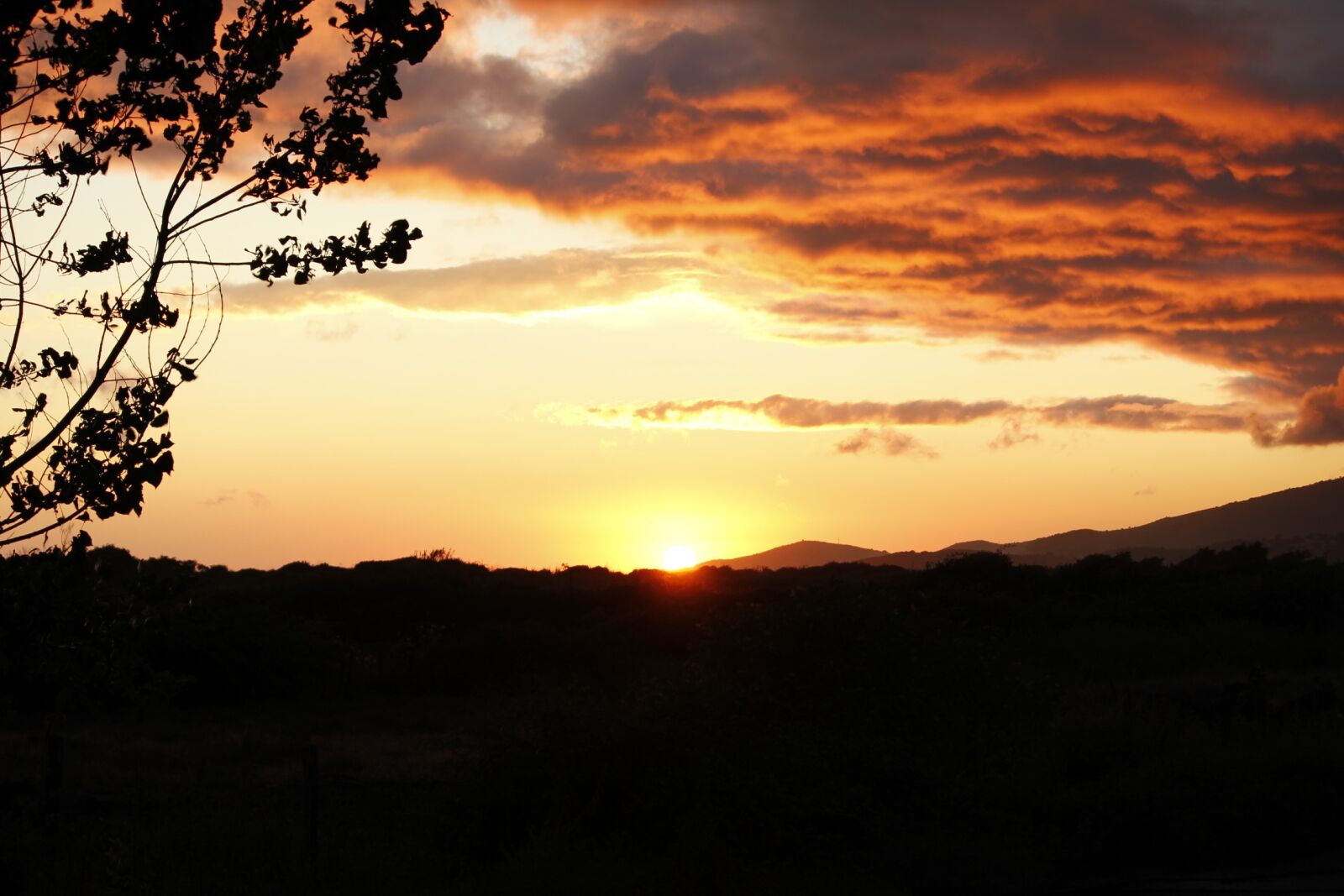 Canon EOS 550D (EOS Rebel T2i / EOS Kiss X4) sample photo. Sunset, romantic, mood photography